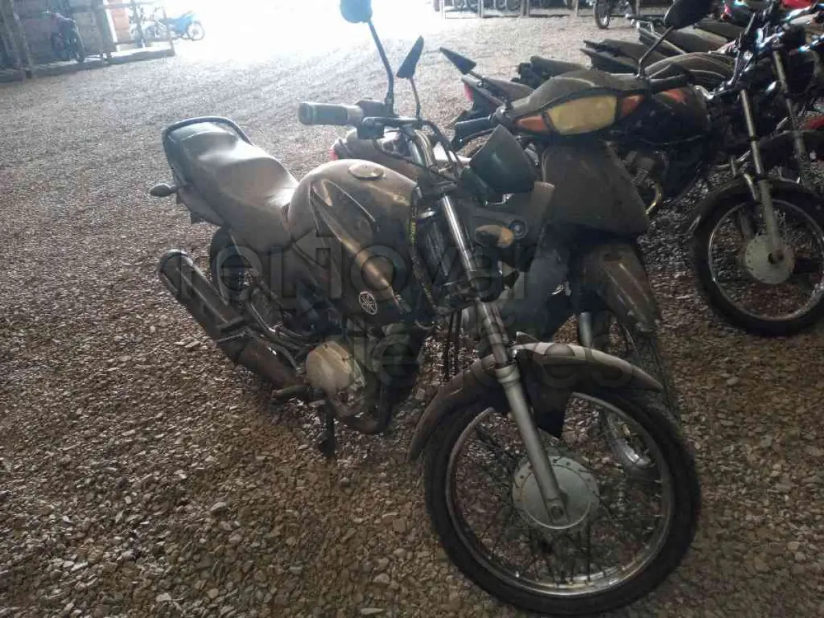 LOTE 0906