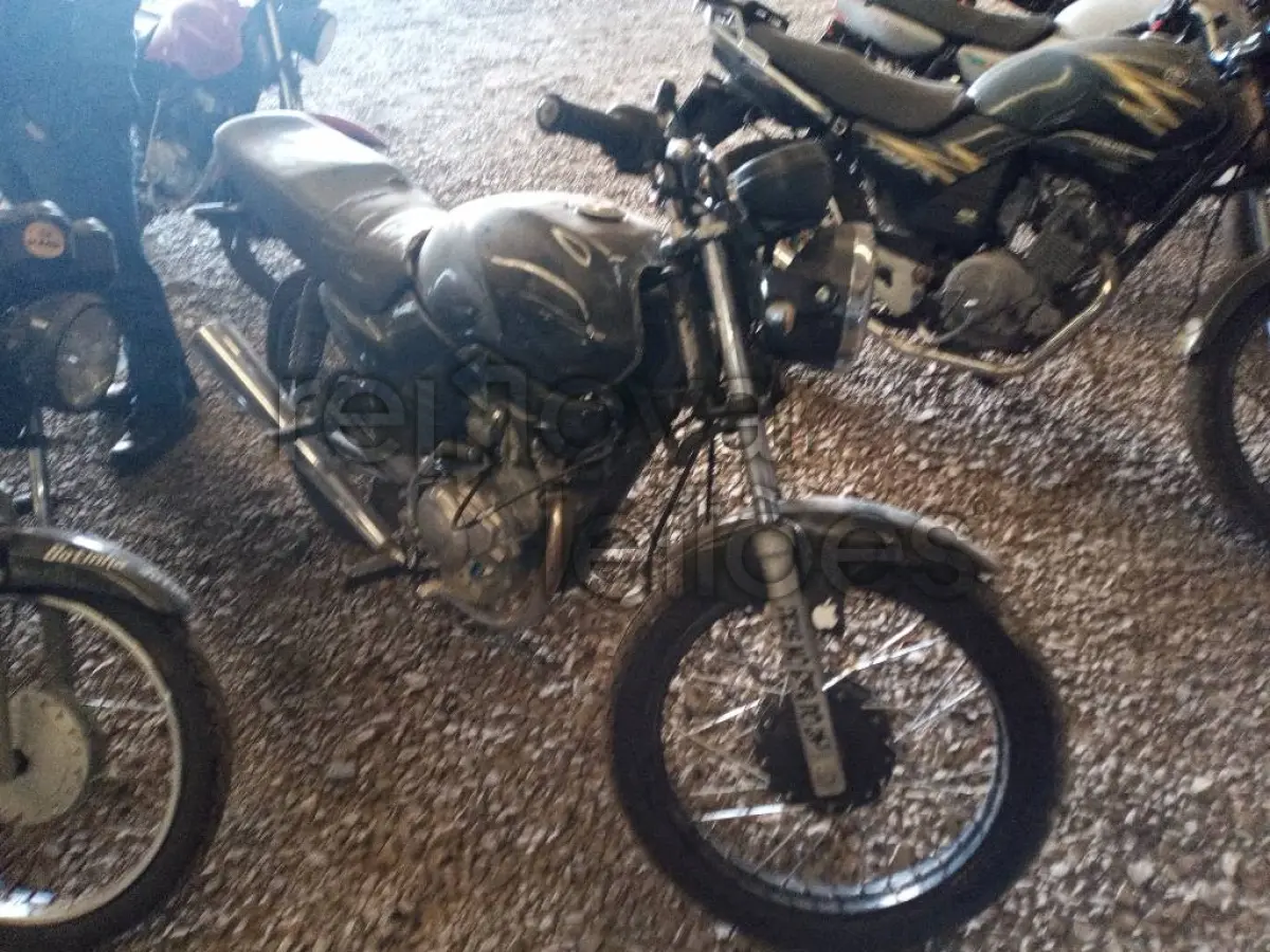 LOTE 0474