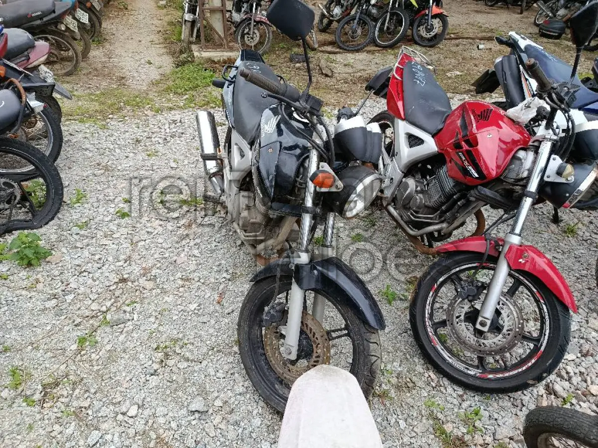 LOTE 0339