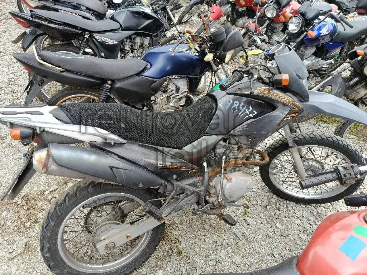 LOTE 0344