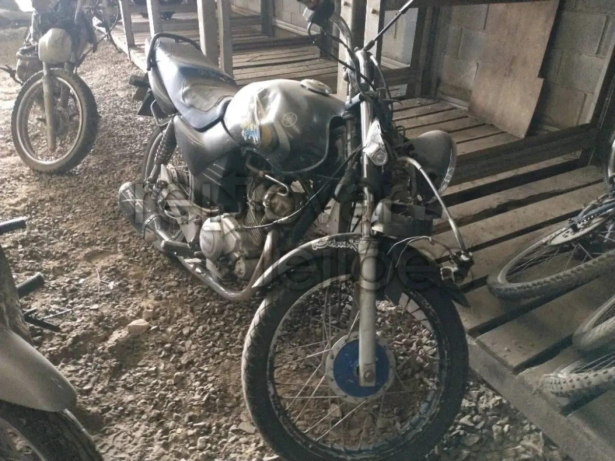 LOTE 0462