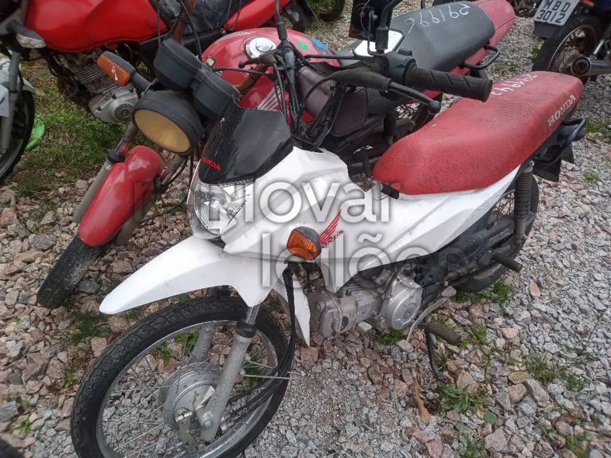 LOTE 0333