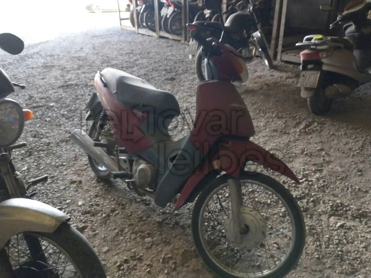 LOTE 0486