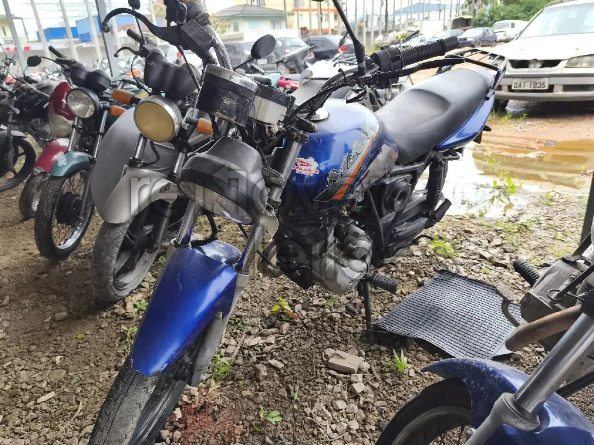 LOTE 0495