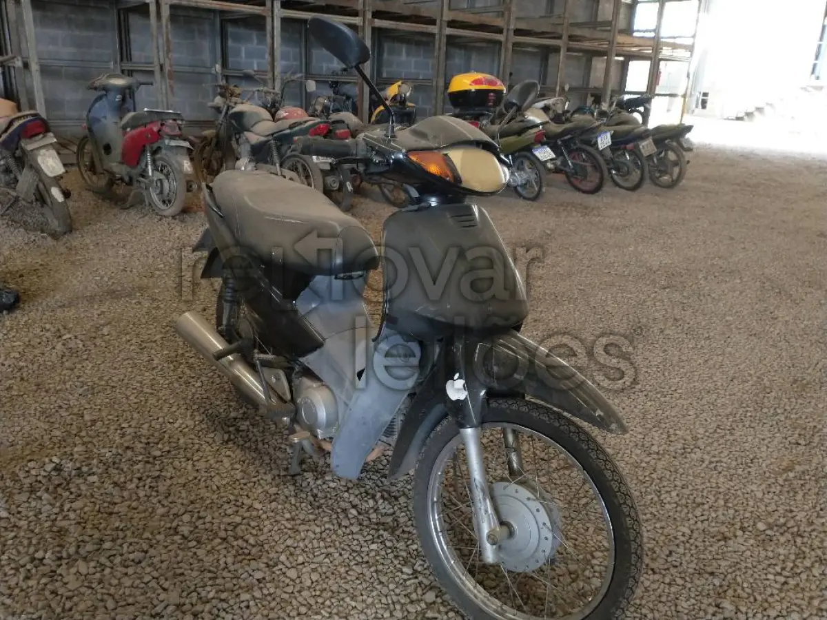 LOTE 0485