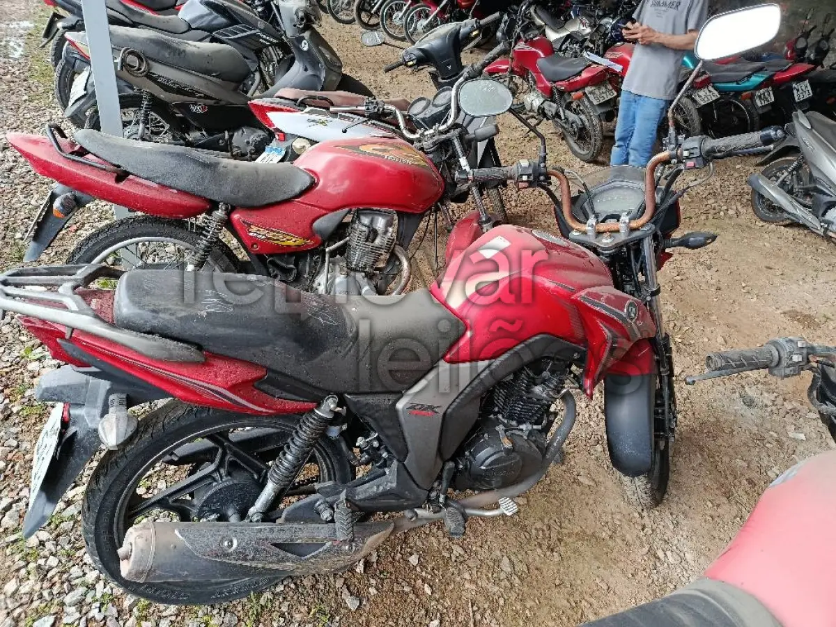 LOTE 0525