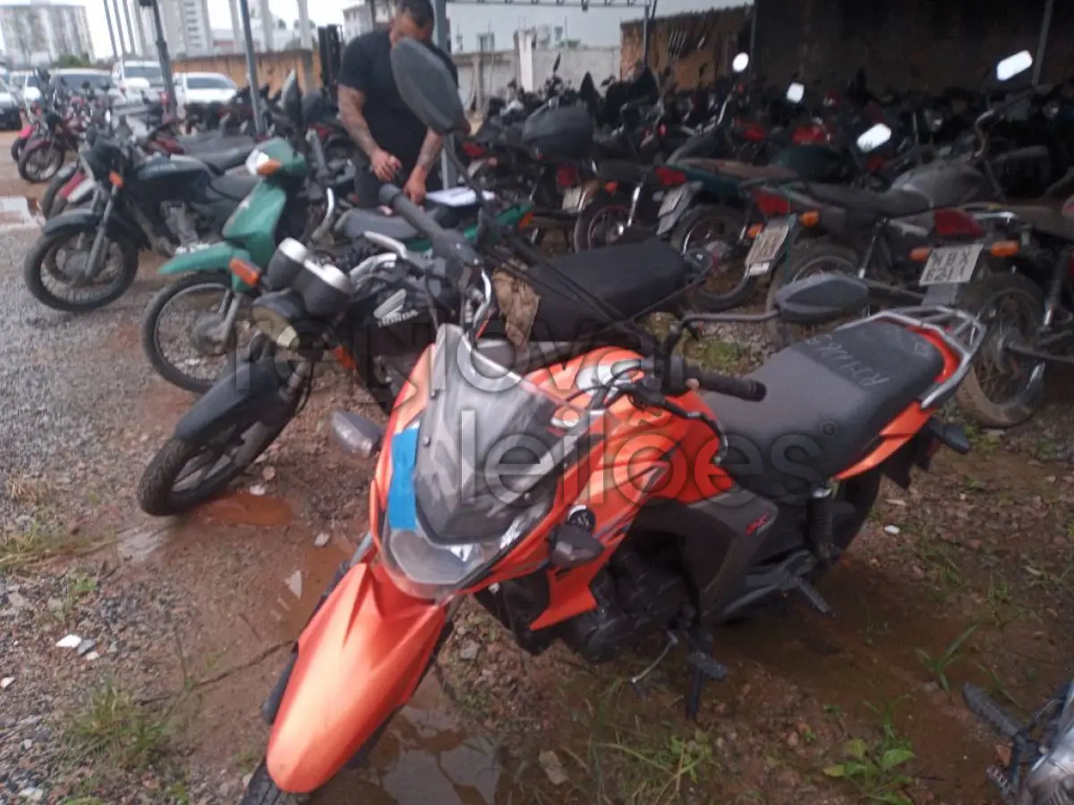 LOTE 0511