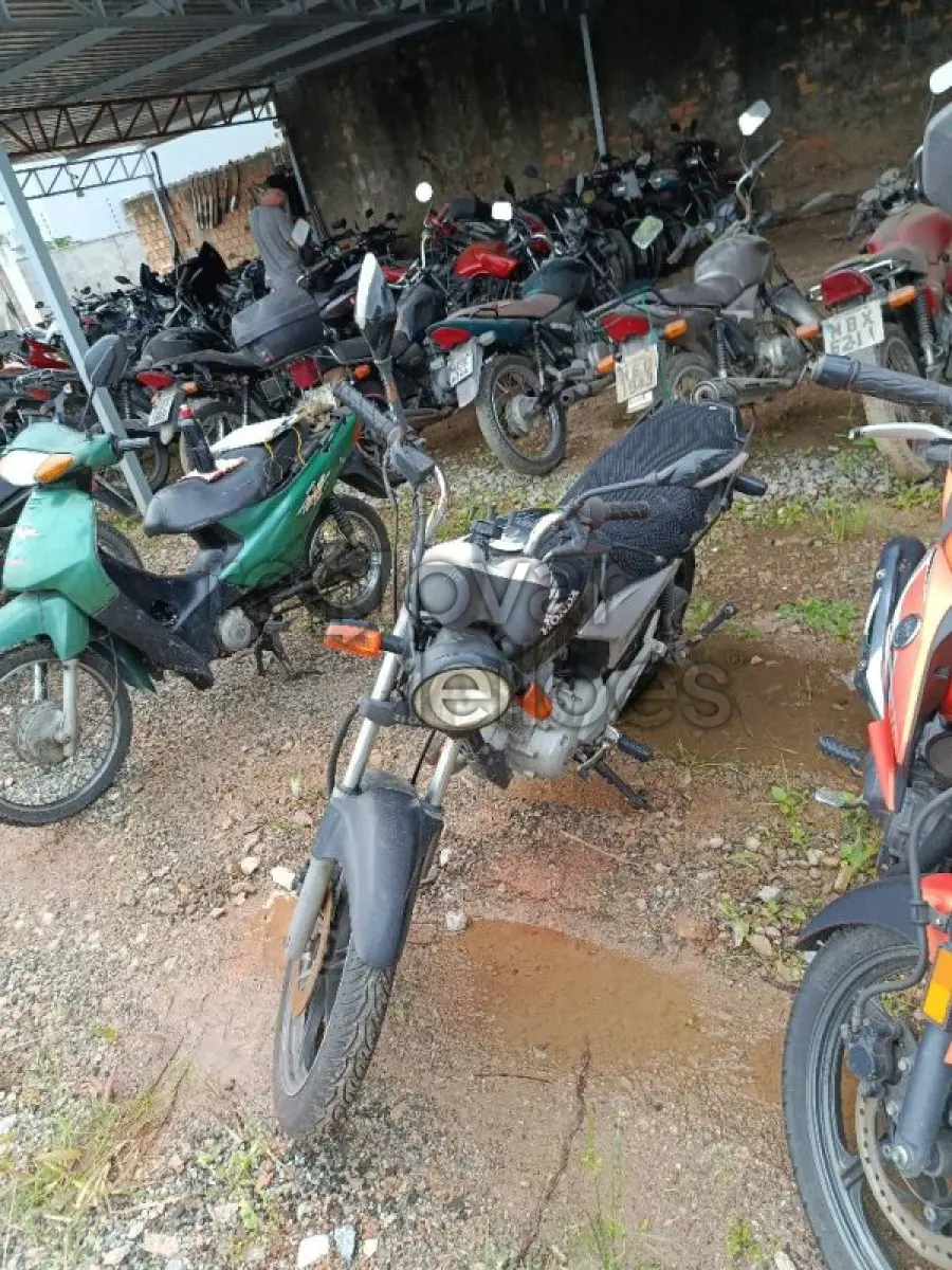 LOTE 0916