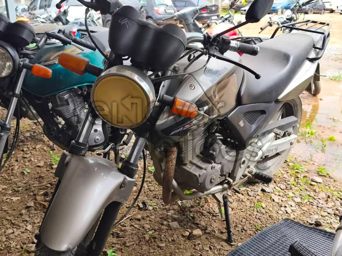 LOTE 0522