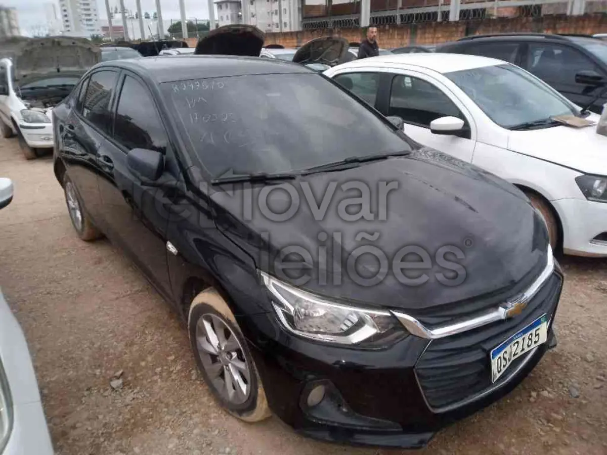 LOTE 0229