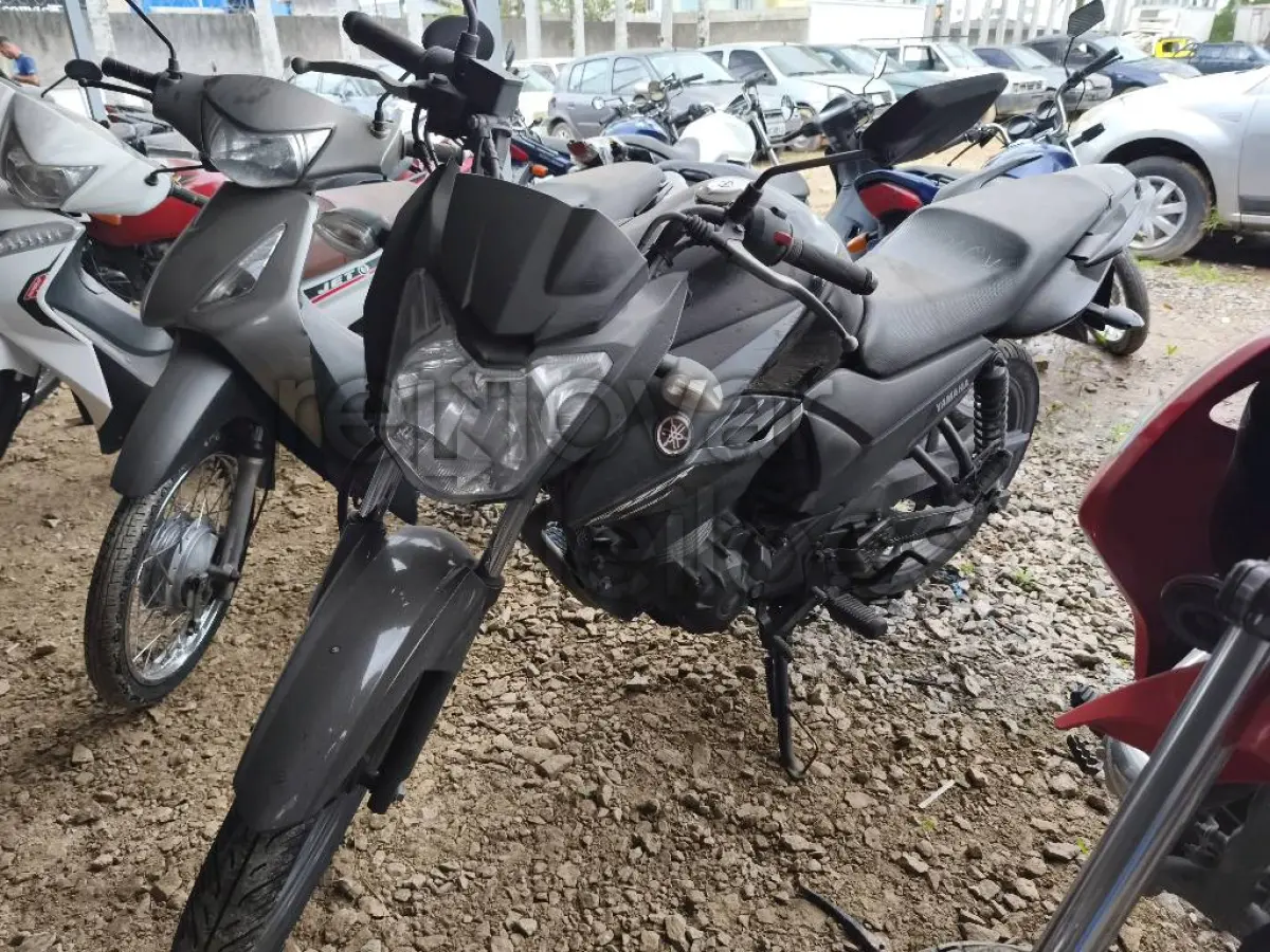 LOTE 0501