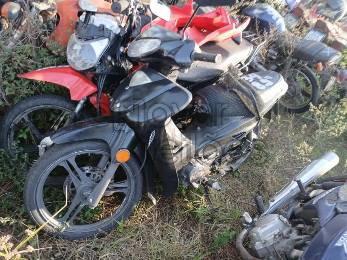 LOTE 0150
