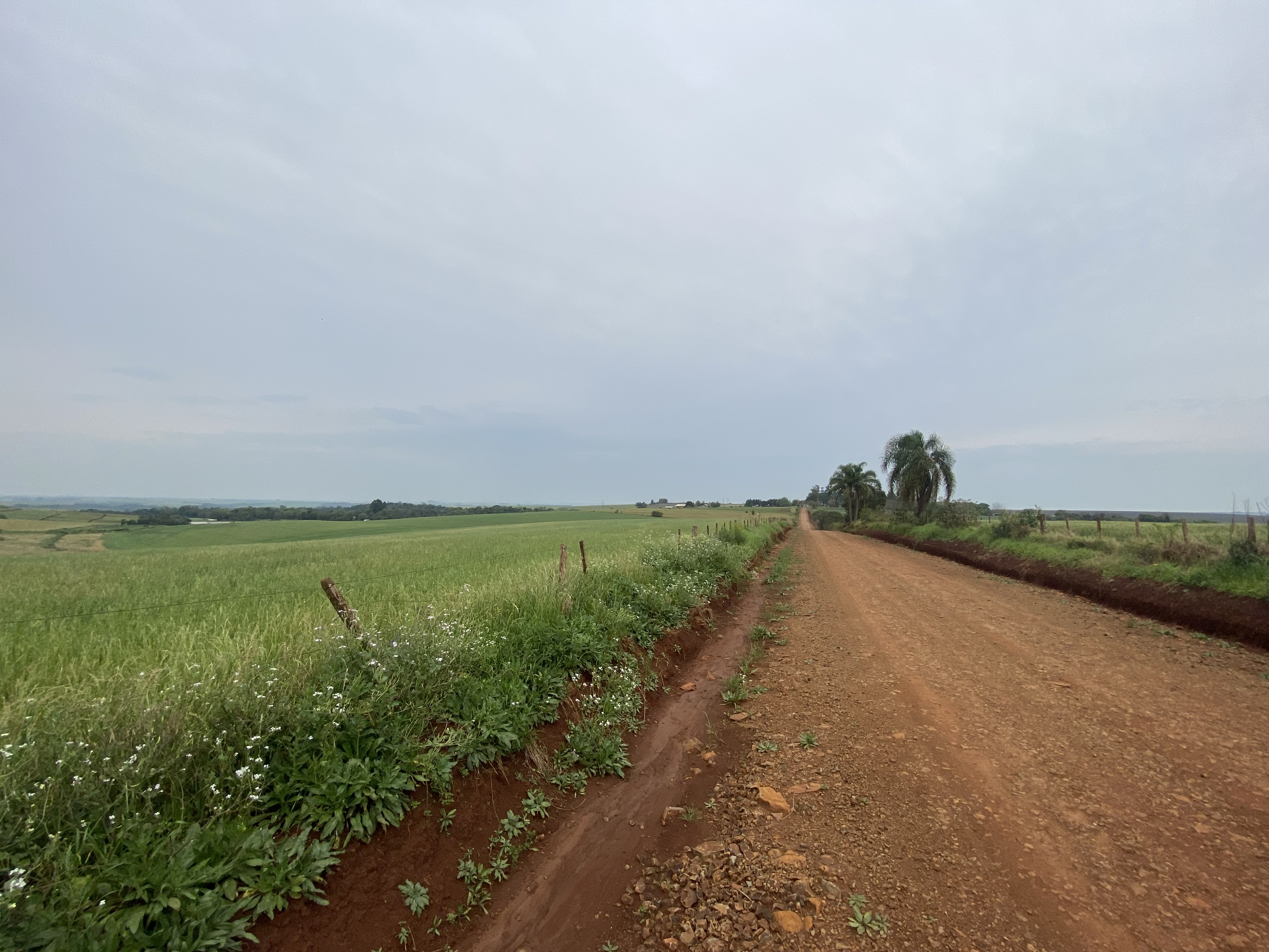 ÁREA RURAL - 25 HECTARES - ENTRE IJUÍS / RS, localizado em Entre Ijuís - RS