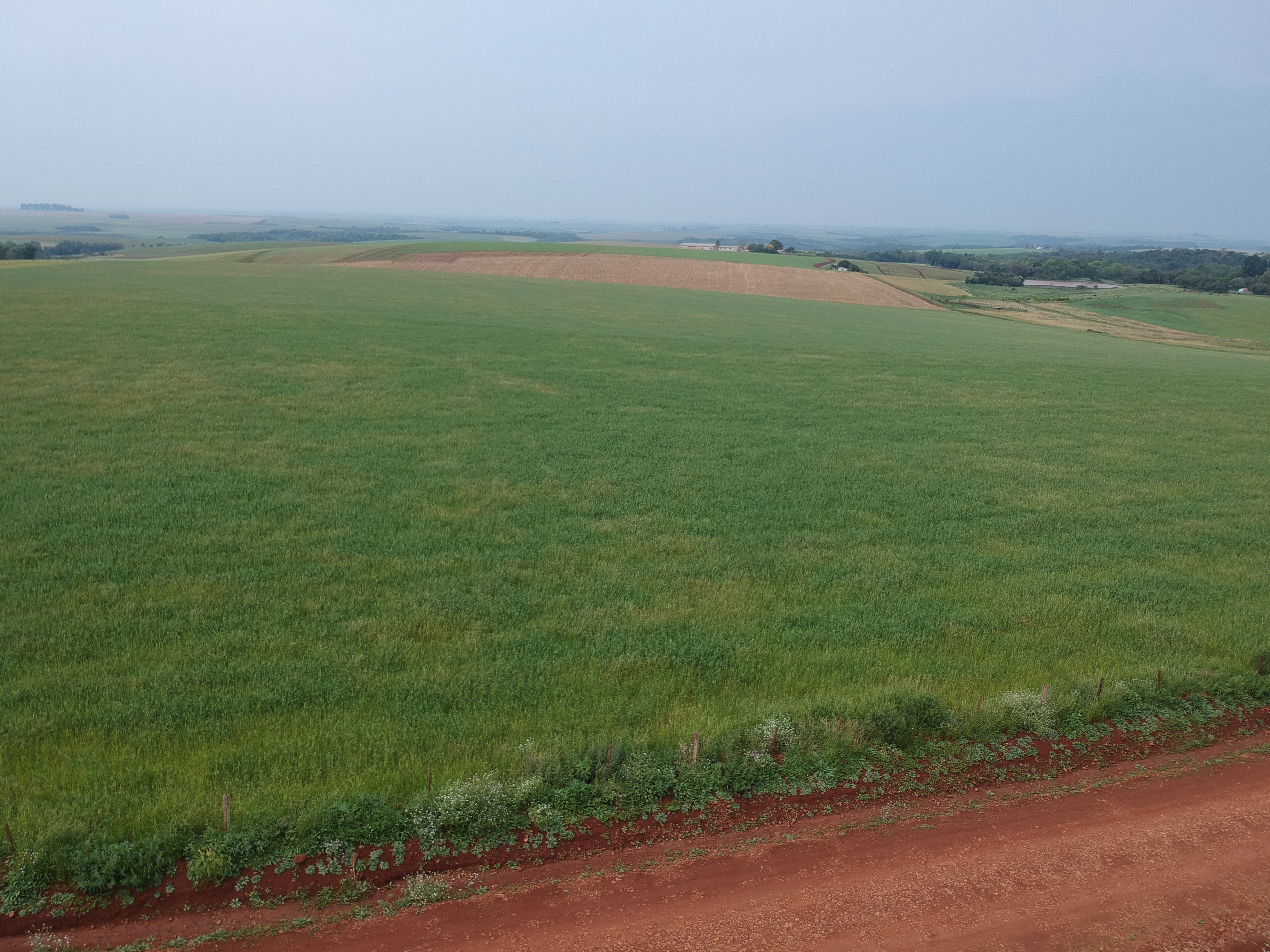 ÁREA RURAL - 25 HECTARES - ENTRE IJUÍS / RS, localizado em Entre Ijuís - RS