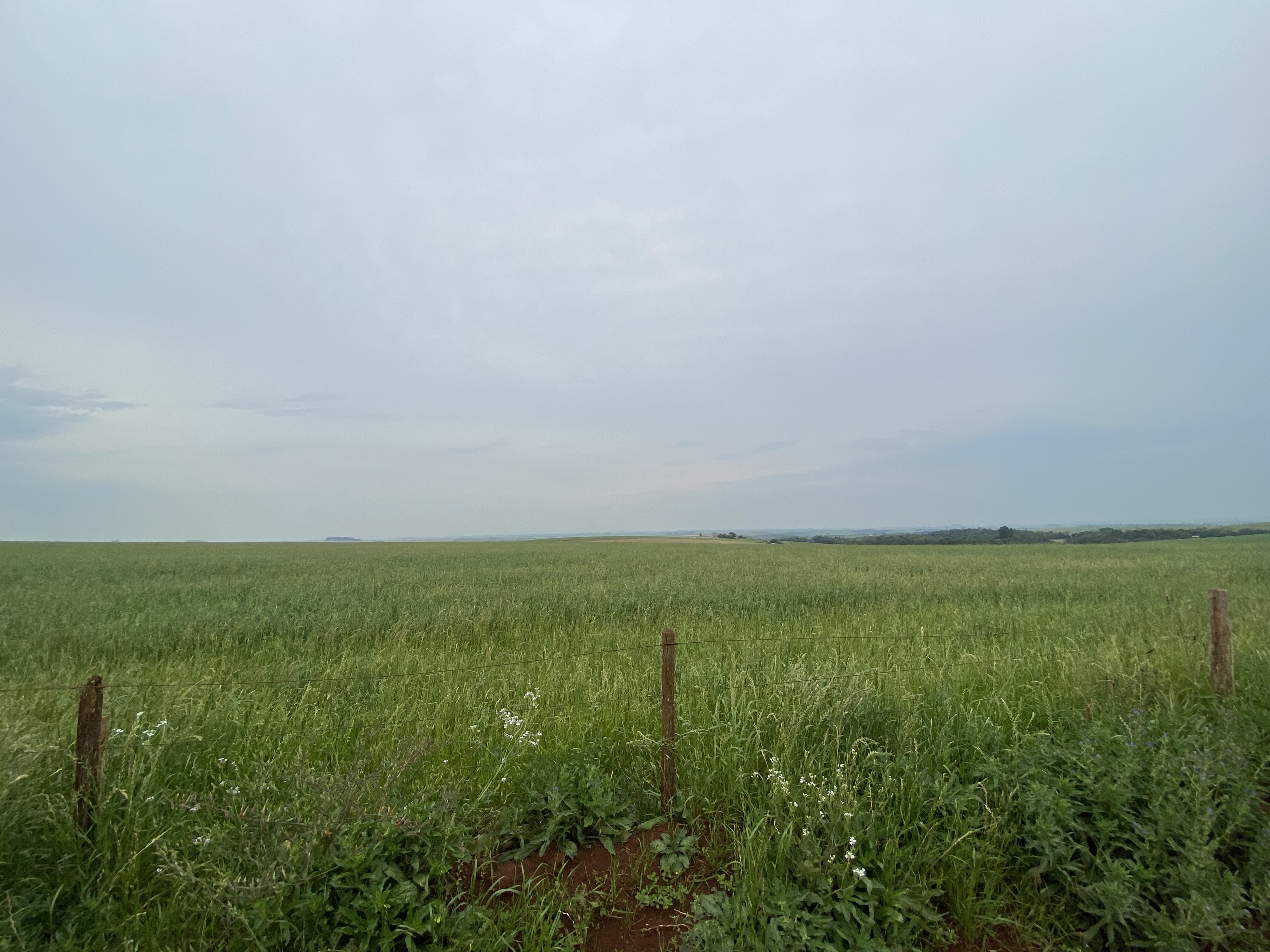 ÁREA RURAL - 25 HECTARES - ENTRE IJUÍS / RS, localizado em Entre Ijuís - RS