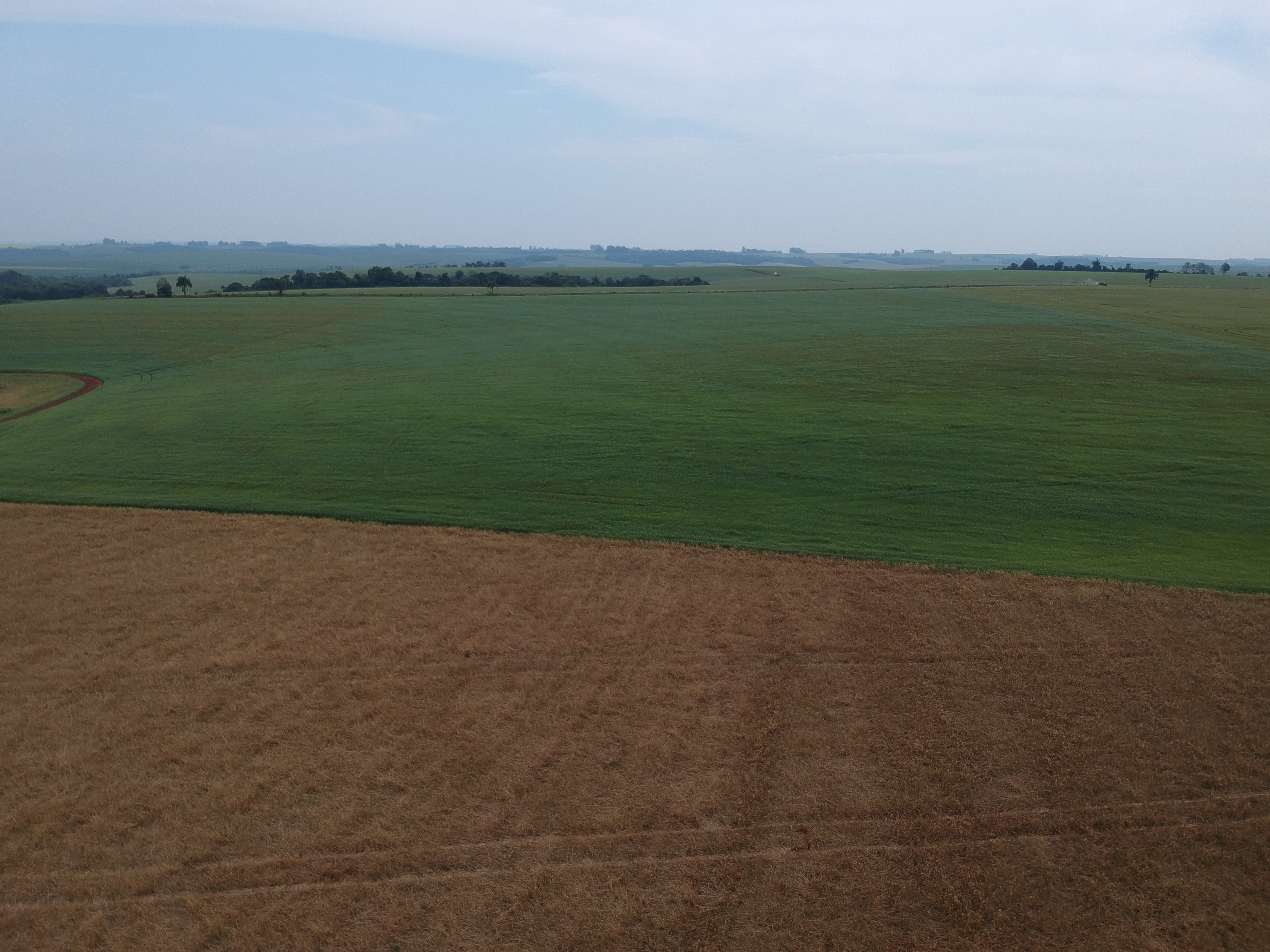 ÁREA RURAL - 25 HECTARES - ENTRE IJUÍS / RS, localizado em Entre Ijuís - RS