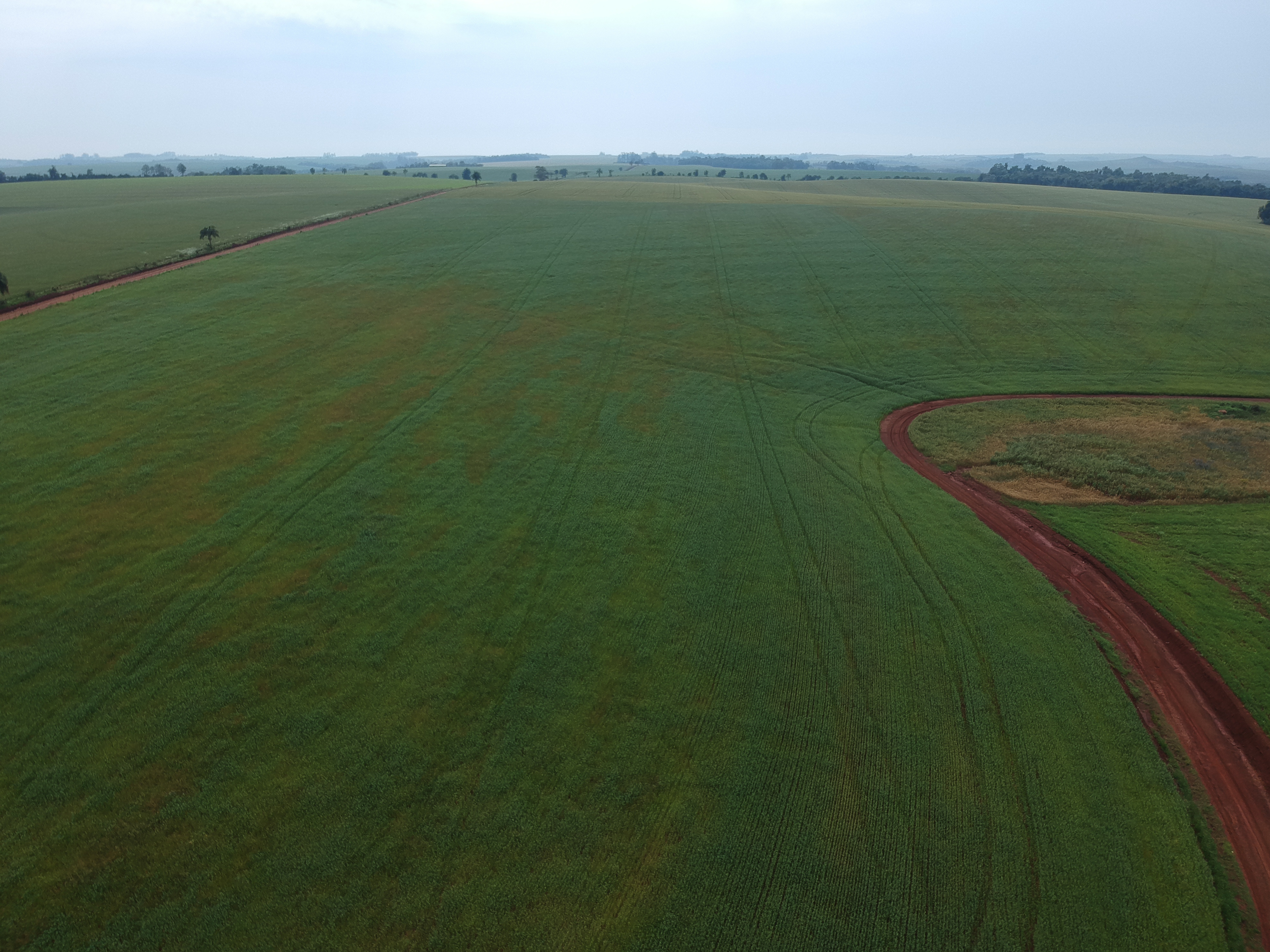 ÁREA RURAL - 25 HECTARES - ENTRE IJUÍS / RS, localizado em Entre Ijuís - RS