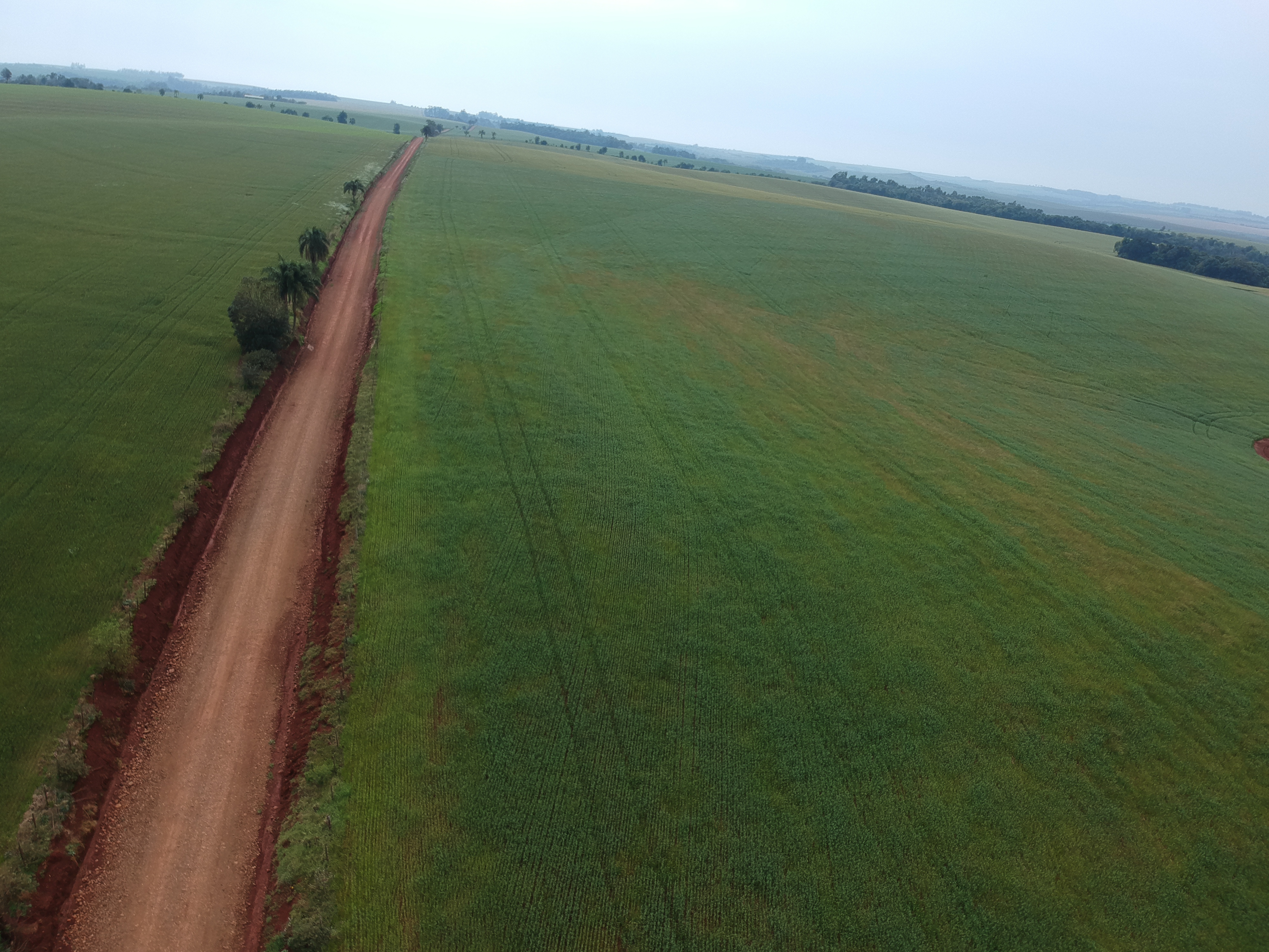 ÁREA RURAL - 25 HECTARES - ENTRE IJUÍS / RS, localizado em Entre Ijuís - RS