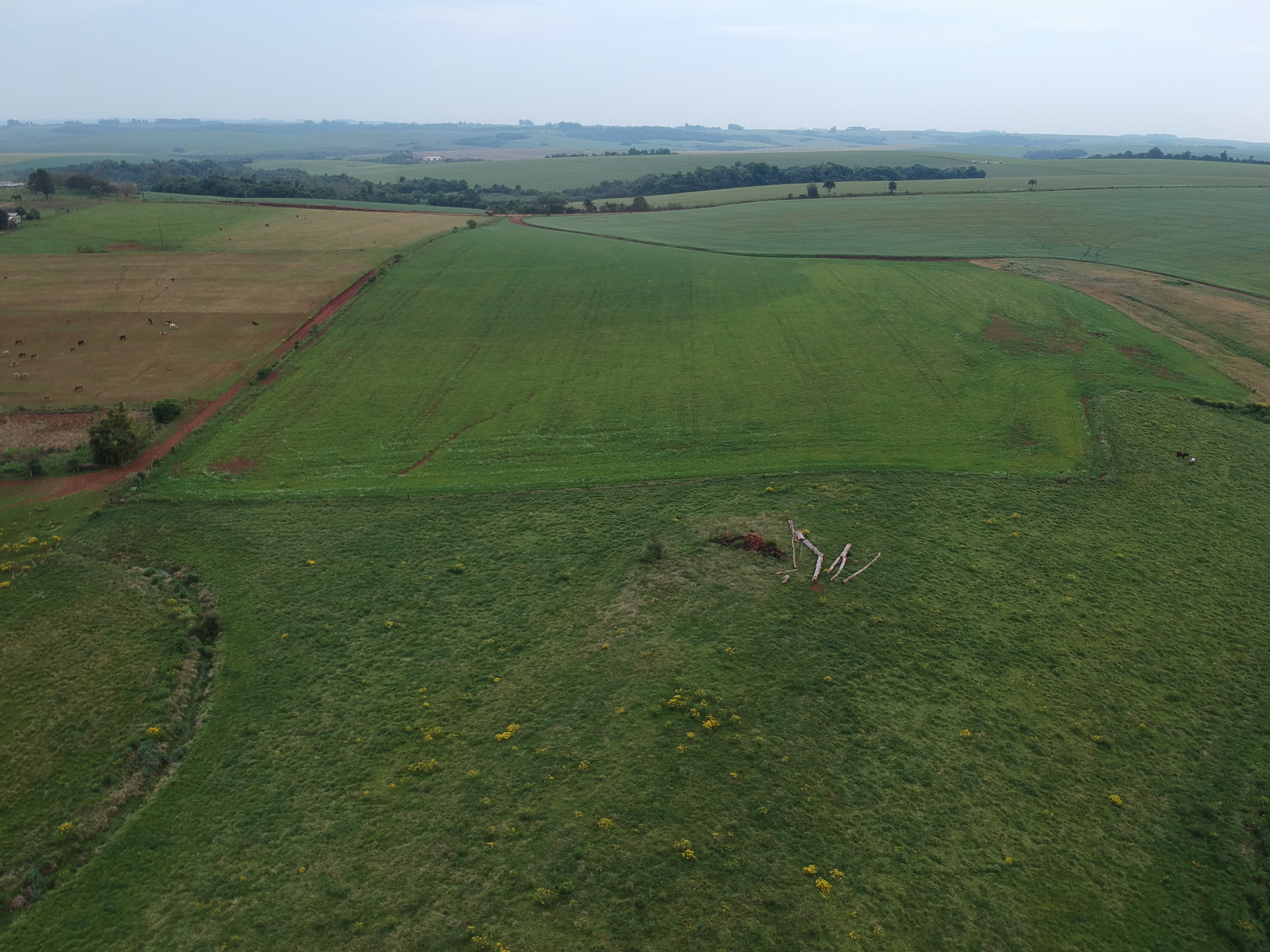 ÁREA RURAL - 25 HECTARES - ENTRE IJUÍS / RS, localizado em Entre Ijuís - RS