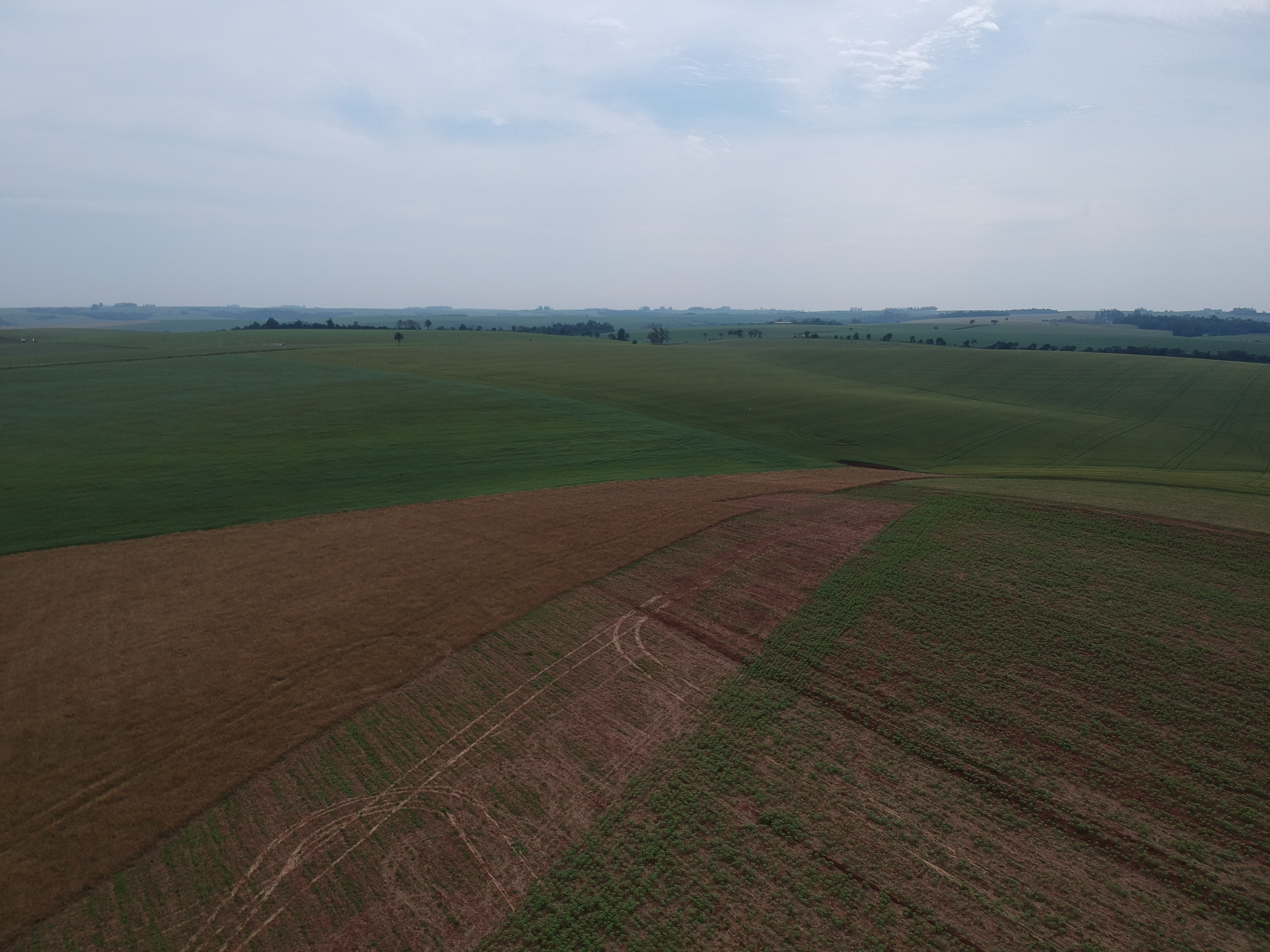 ÁREA RURAL - 25 HECTARES - ENTRE IJUÍS / RS, localizado em Entre Ijuís - RS