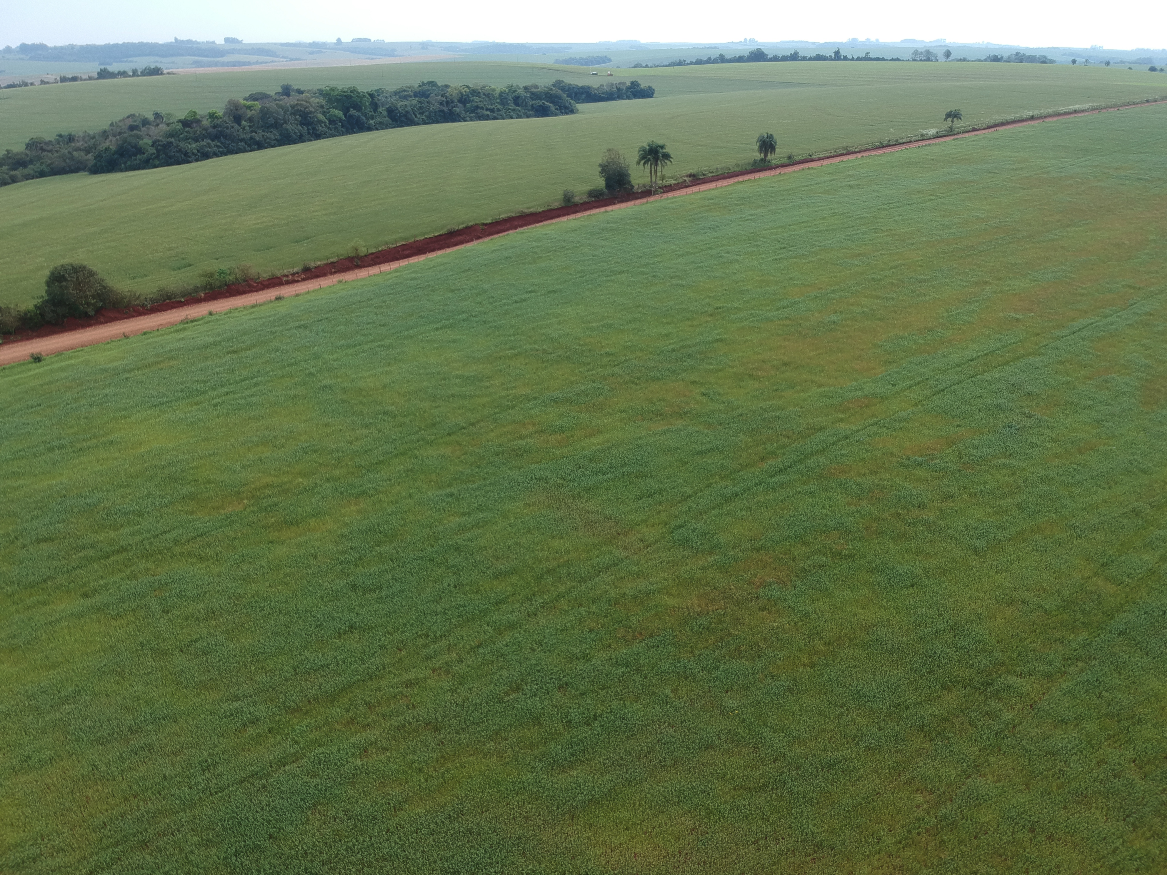 ÁREA RURAL - 25 HECTARES - ENTRE IJUÍS / RS, localizado em Entre Ijuís - RS