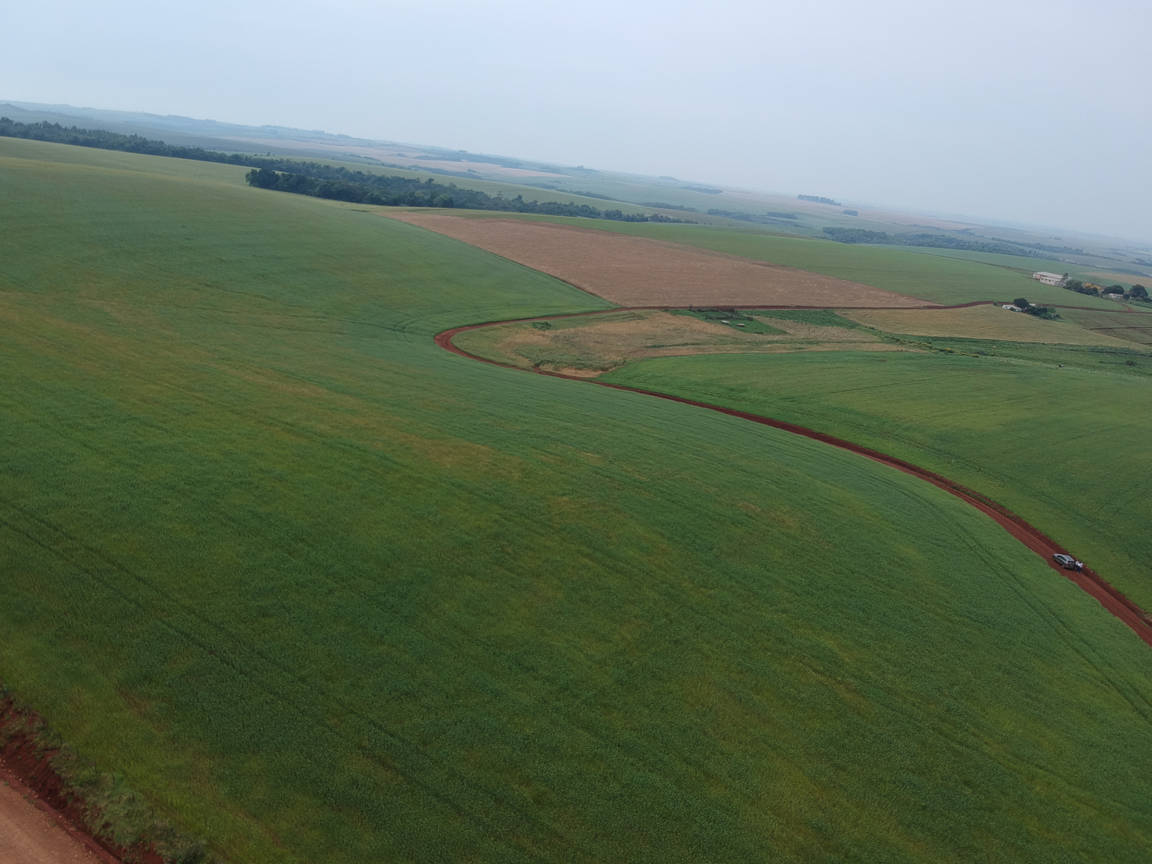 ÁREA RURAL - 25 HECTARES - ENTRE IJUÍS / RS, localizado em Entre Ijuís - RS
