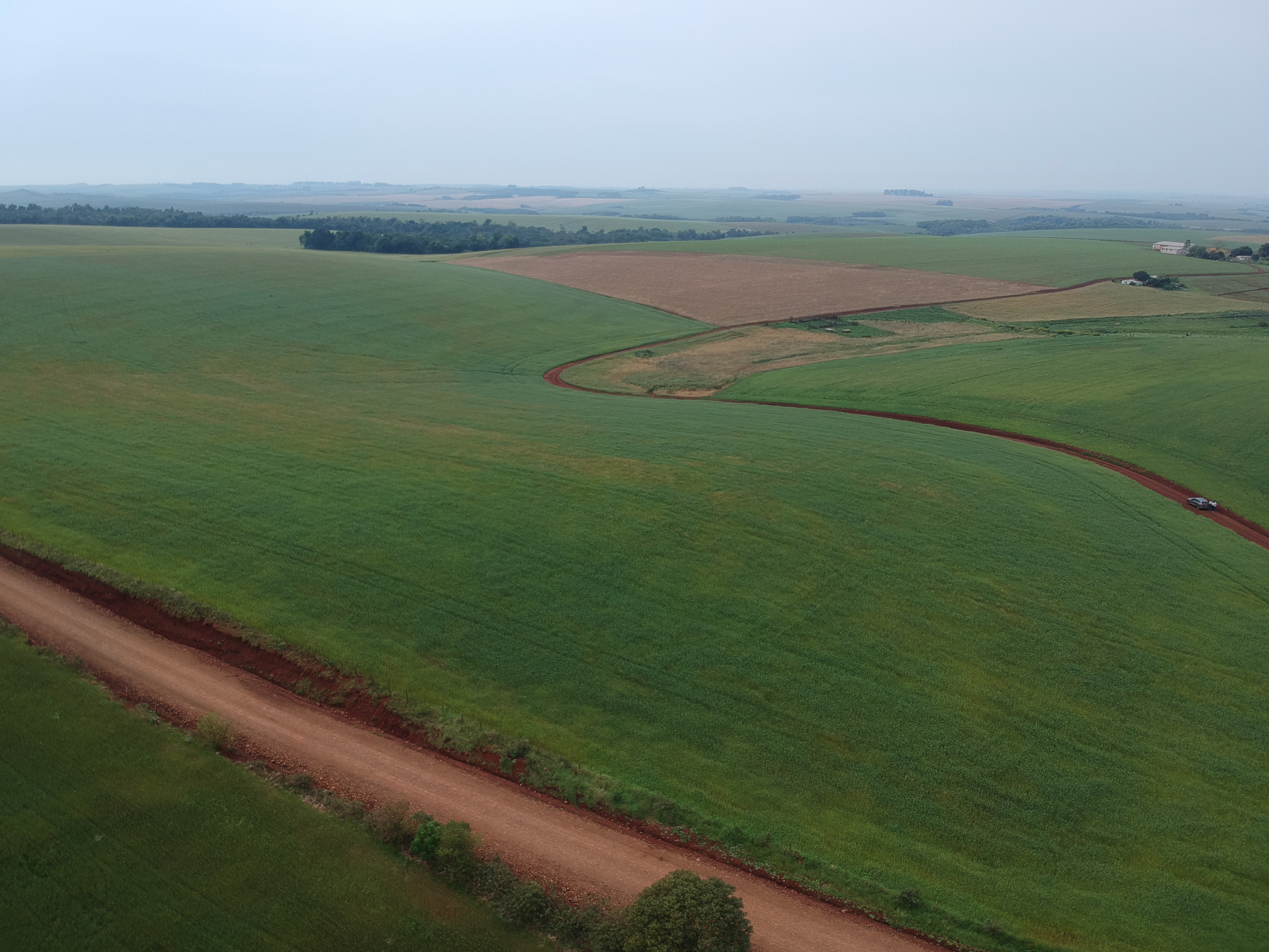 ÁREA RURAL - 25 HECTARES - ENTRE IJUÍS / RS, localizado em Entre Ijuís - RS