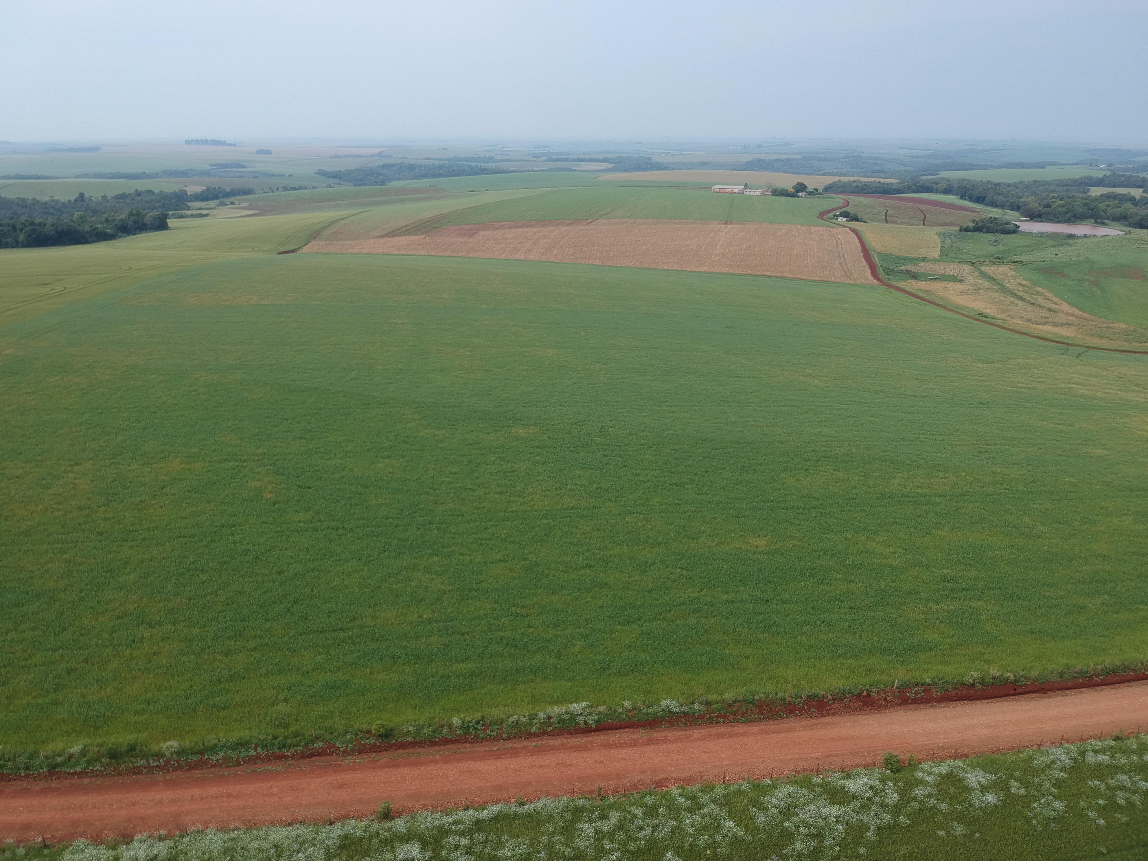 ÁREA RURAL - 25 HECTARES - ENTRE IJUÍS / RS, localizado em Entre Ijuís - RS