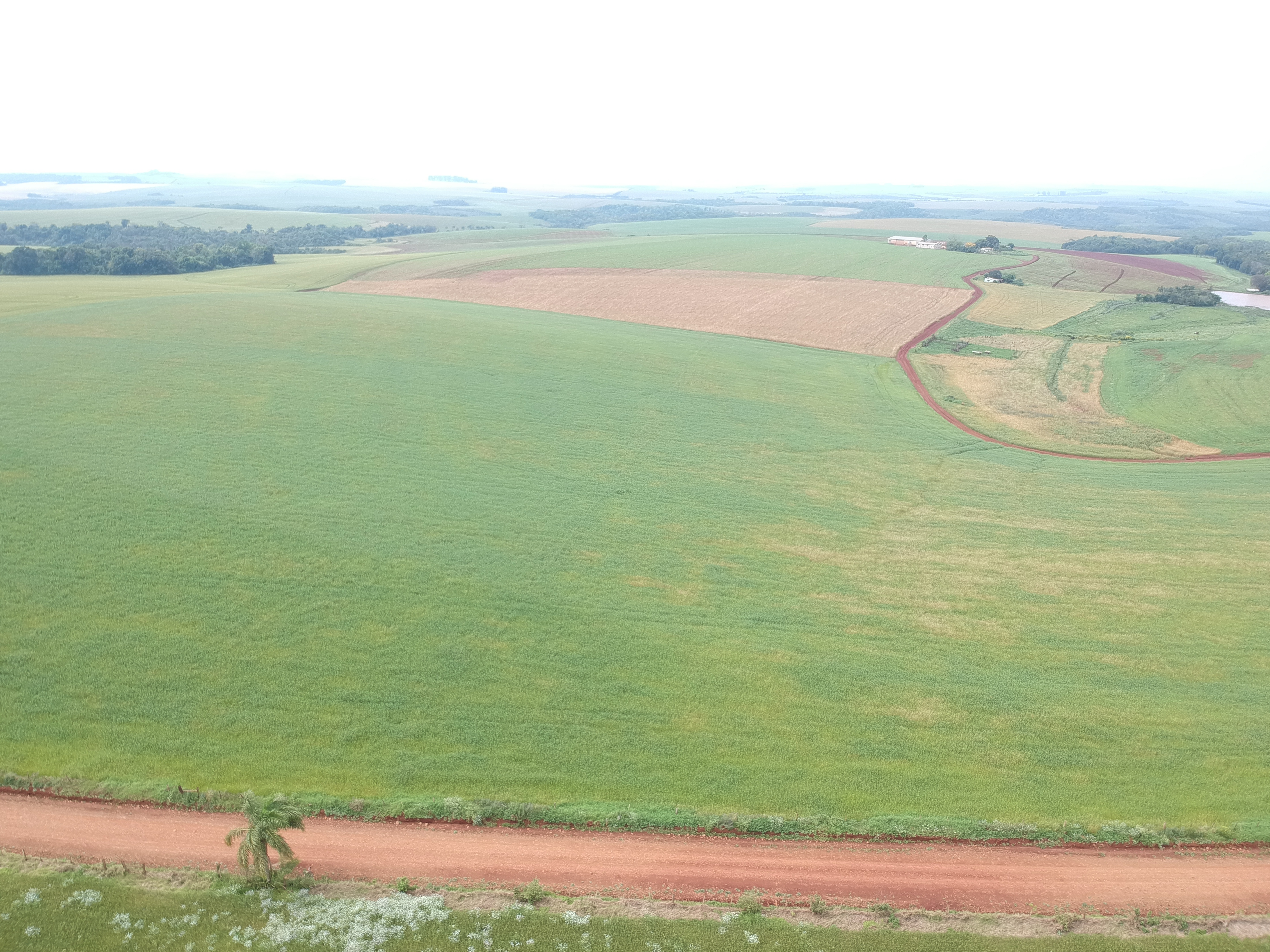 ÁREA RURAL - 25 HECTARES - ENTRE IJUÍS / RS, localizado em Entre Ijuís - RS