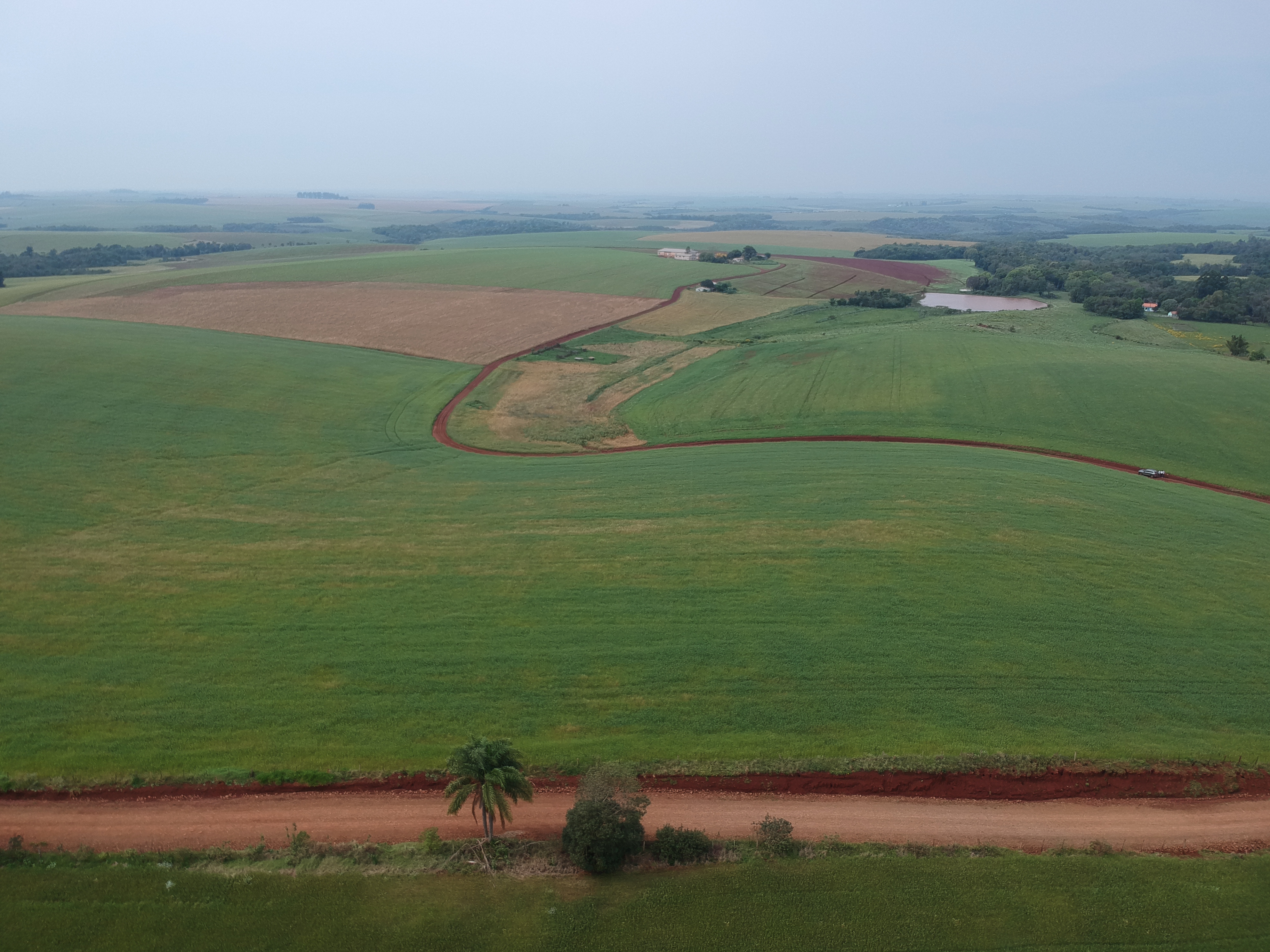 ÁREA RURAL - 25 HECTARES - ENTRE IJUÍS / RS, localizado em Entre Ijuís - RS