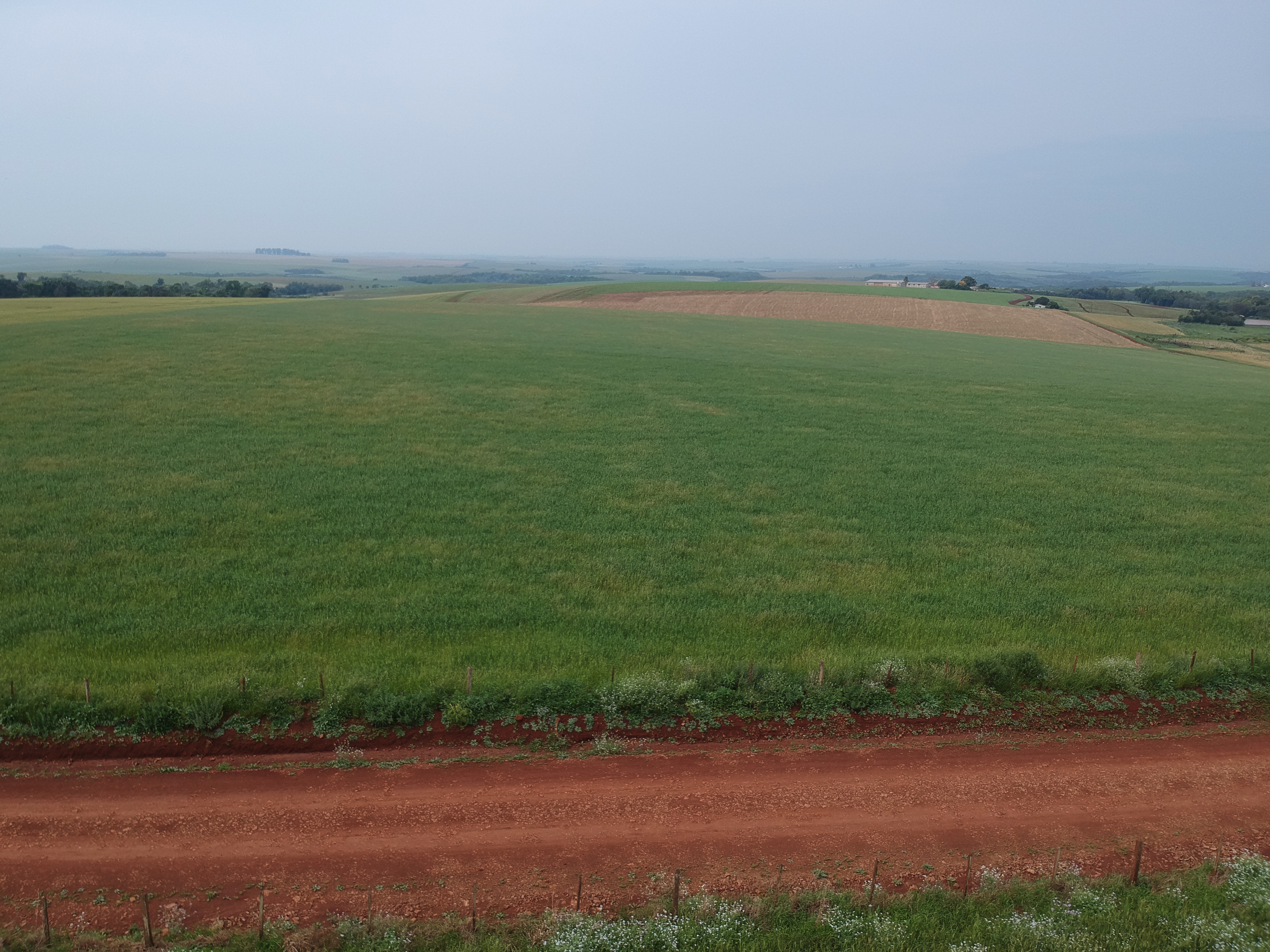 ÁREA RURAL - 25 HECTARES - ENTRE IJUÍS / RS, localizado em Entre Ijuís - RS