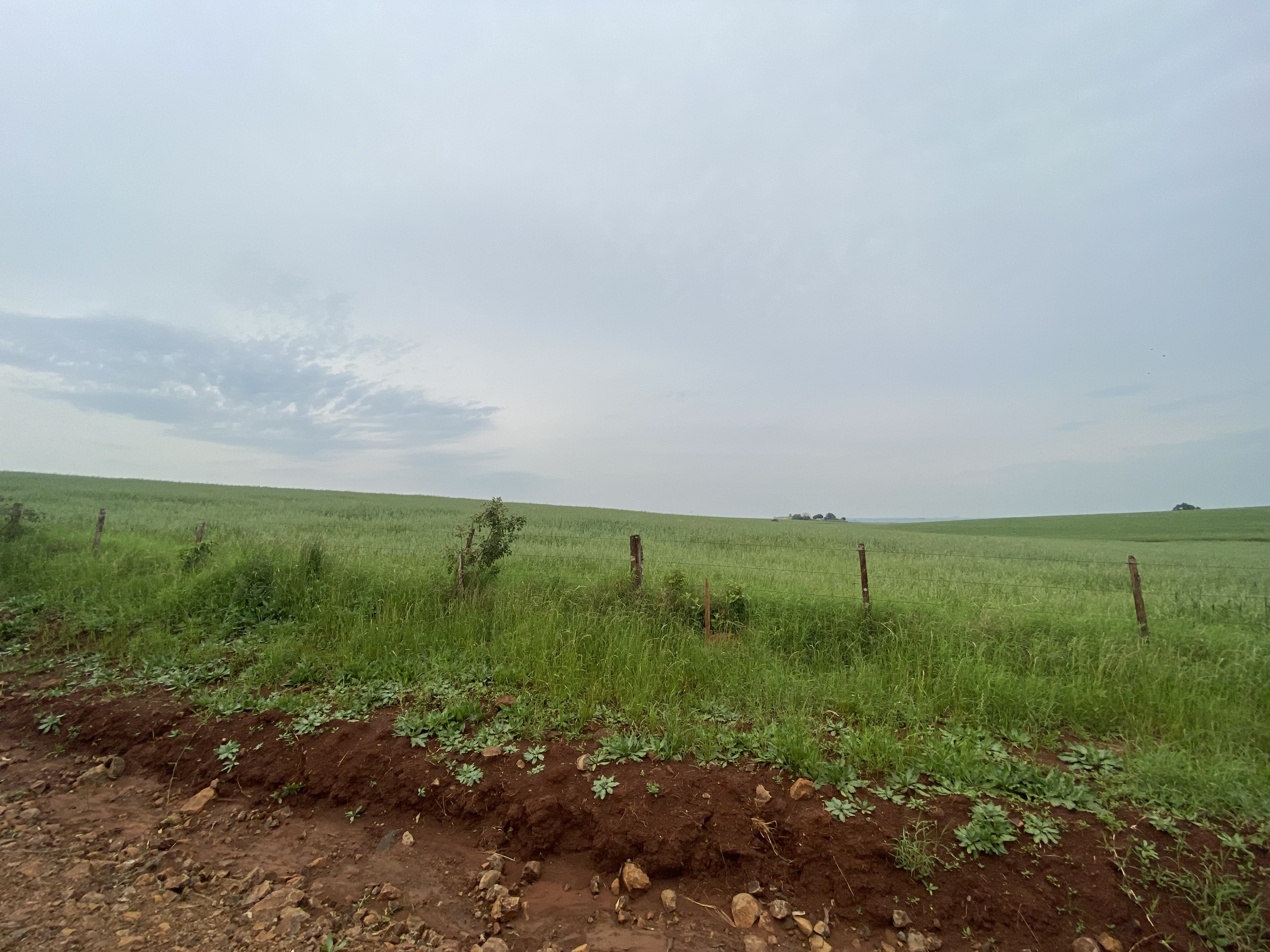 ÁREA RURAL - 25 HECTARES - ENTRE IJUÍS / RS, localizado em Entre Ijuís - RS