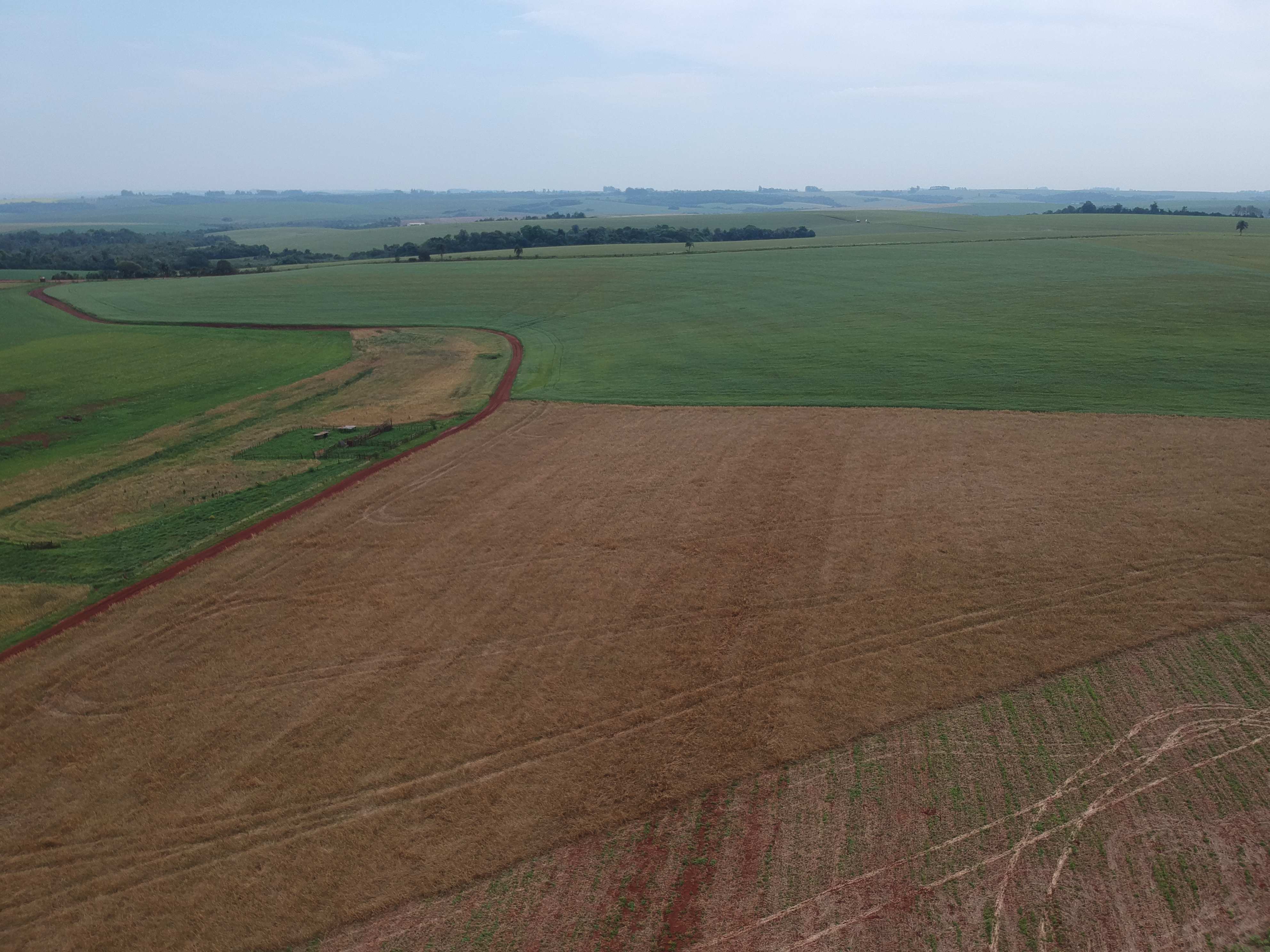 ÁREA RURAL - 25 HECTARES - ENTRE IJUÍS / RS, localizado em Entre Ijuís - RS