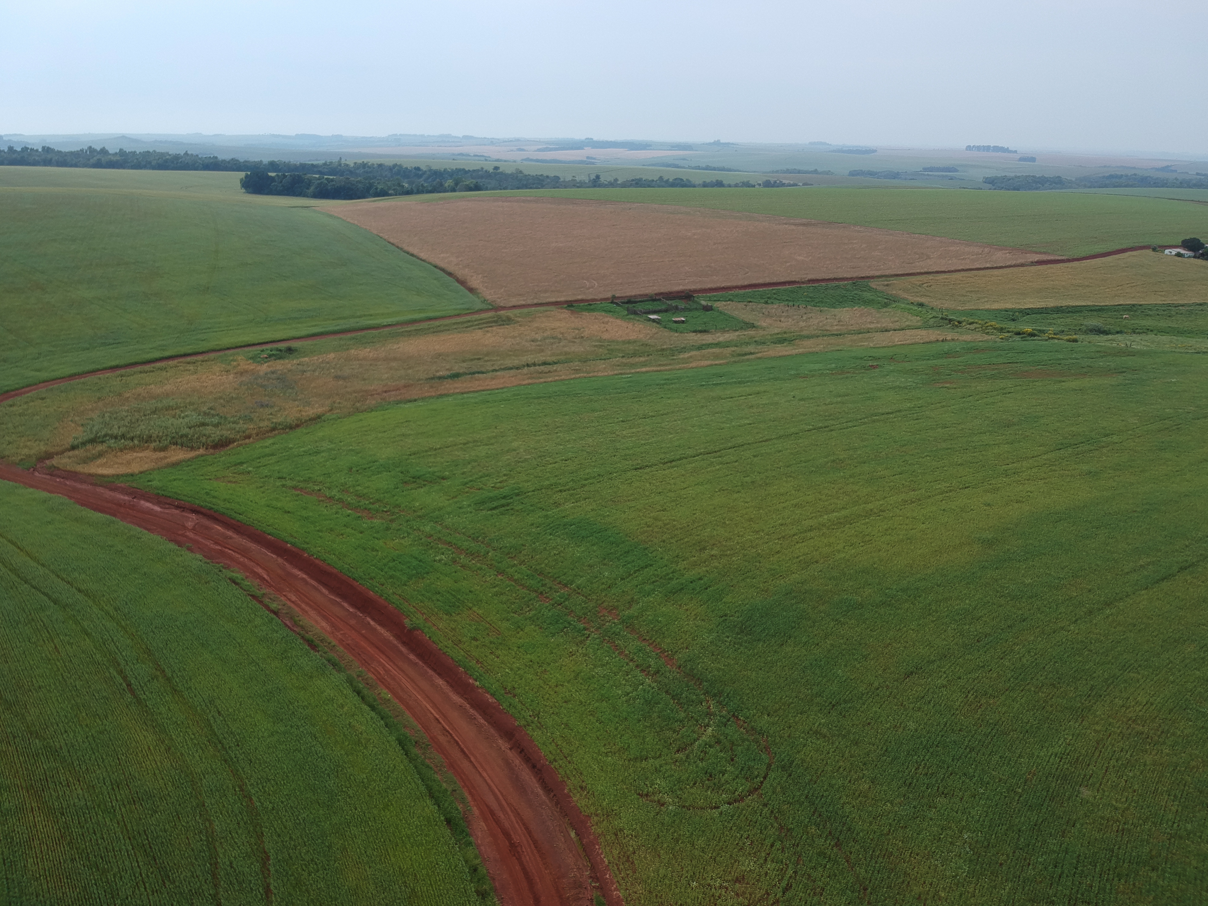 ÁREA RURAL - 25 HECTARES - ENTRE IJUÍS / RS, localizado em Entre Ijuís - RS