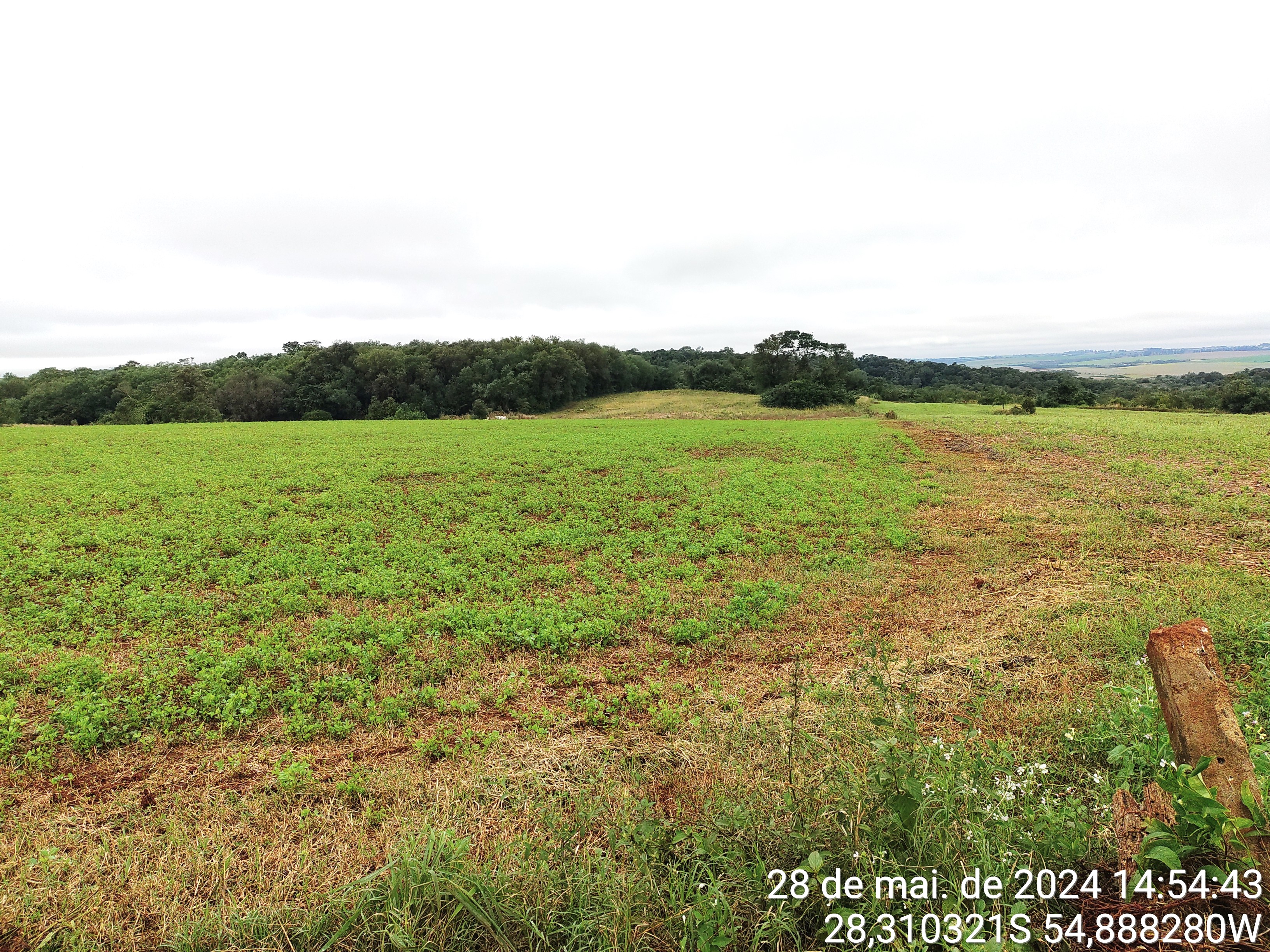 IMÓVEL RURAL, COM ÁREA DE 21.490,00M², SEM BENFEITORIAS, NA CIDADE DE SÃO LUIZ GONZAGA/RS, localizado em São Luiz Gonzaga - RS