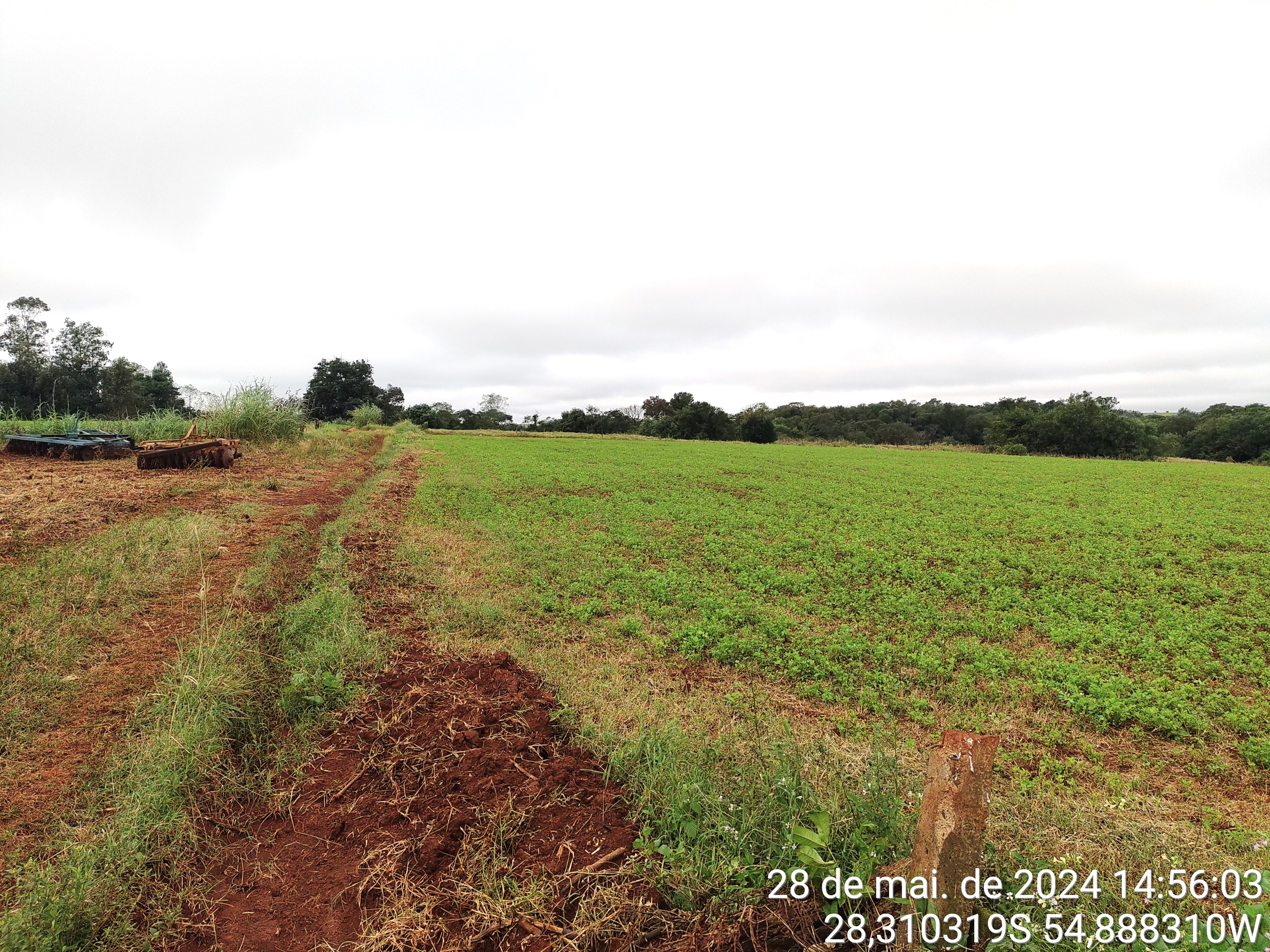 IMÓVEL RURAL, COM ÁREA DE 21.490,00M², SEM BENFEITORIAS, NA CIDADE DE SÃO LUIZ GONZAGA/RS, localizado em São Luiz Gonzaga - RS