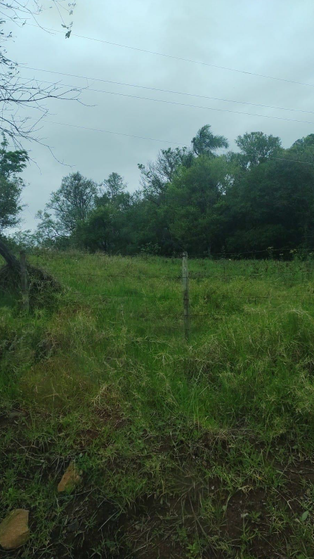IMÓVEL RURAL, COM ÁREA DE 6,5 HA, NA LOCALIDADE DE SERRA DE BAIXO, NA CIDADE DE ENTRE-IJUIS/RS, localizado em Entre-ijuís - RS