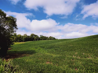 IMÓVEL RURAL, COM 360.000,00 M², EM ENGENHO VELHO, NA CIDADE DE CATUÍPE - RS., localizado em Catuípe - RS