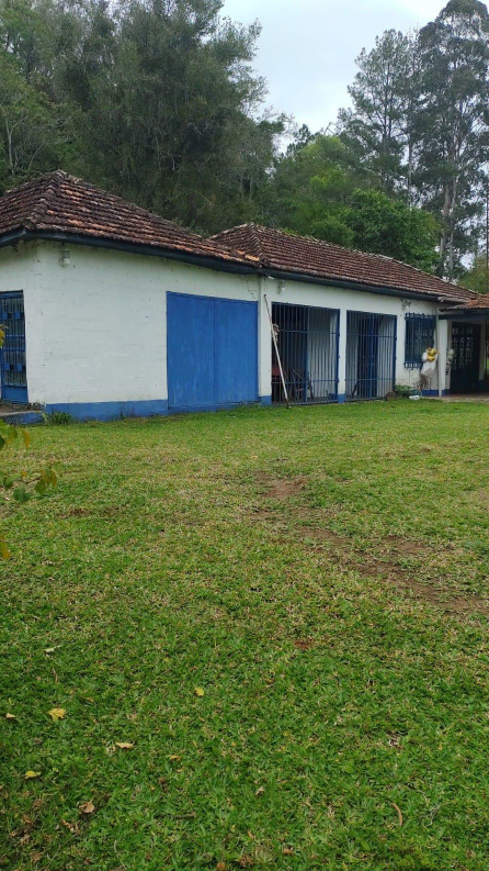 IMÓVEL RURAL, COM ÁREA DE 6,5 HA, NA LOCALIDADE DE SERRA DE BAIXO, NA CIDADE DE ENTRE-IJUIS/RS, localizado em Entre-ijuís - RS