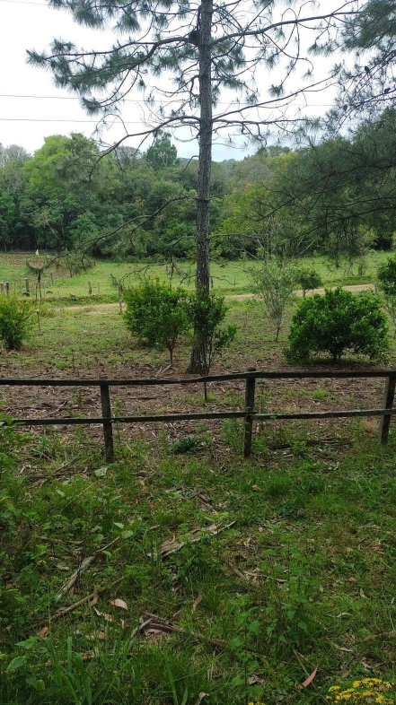 IMÓVEL RURAL, COM ÁREA DE 6,5 HA, NA LOCALIDADE DE SERRA DE BAIXO, NA CIDADE DE ENTRE-IJUIS/RS, localizado em Entre-ijuís - RS