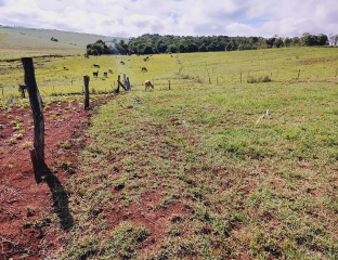 IMÓVEL RURAL, COM 360.000,00 M², EM ENGENHO VELHO, NA CIDADE DE CATUÍPE - RS., localizado em Catuípe - RS