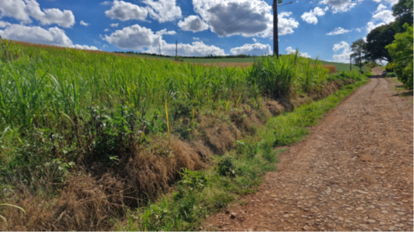 ÁREA RURAL DE 19.746,75M² / DENTRO DE ÁREA MAIOR / LINHA QUEIROZ / INTERIOR DE SEBERI - RS, localizado em Seberi - RS