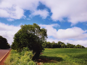 IMÓVEL RURAL, COM 360.000,00 M², EM ENGENHO VELHO, NA CIDADE DE CATUÍPE - RS., localizado em Catuípe - RS