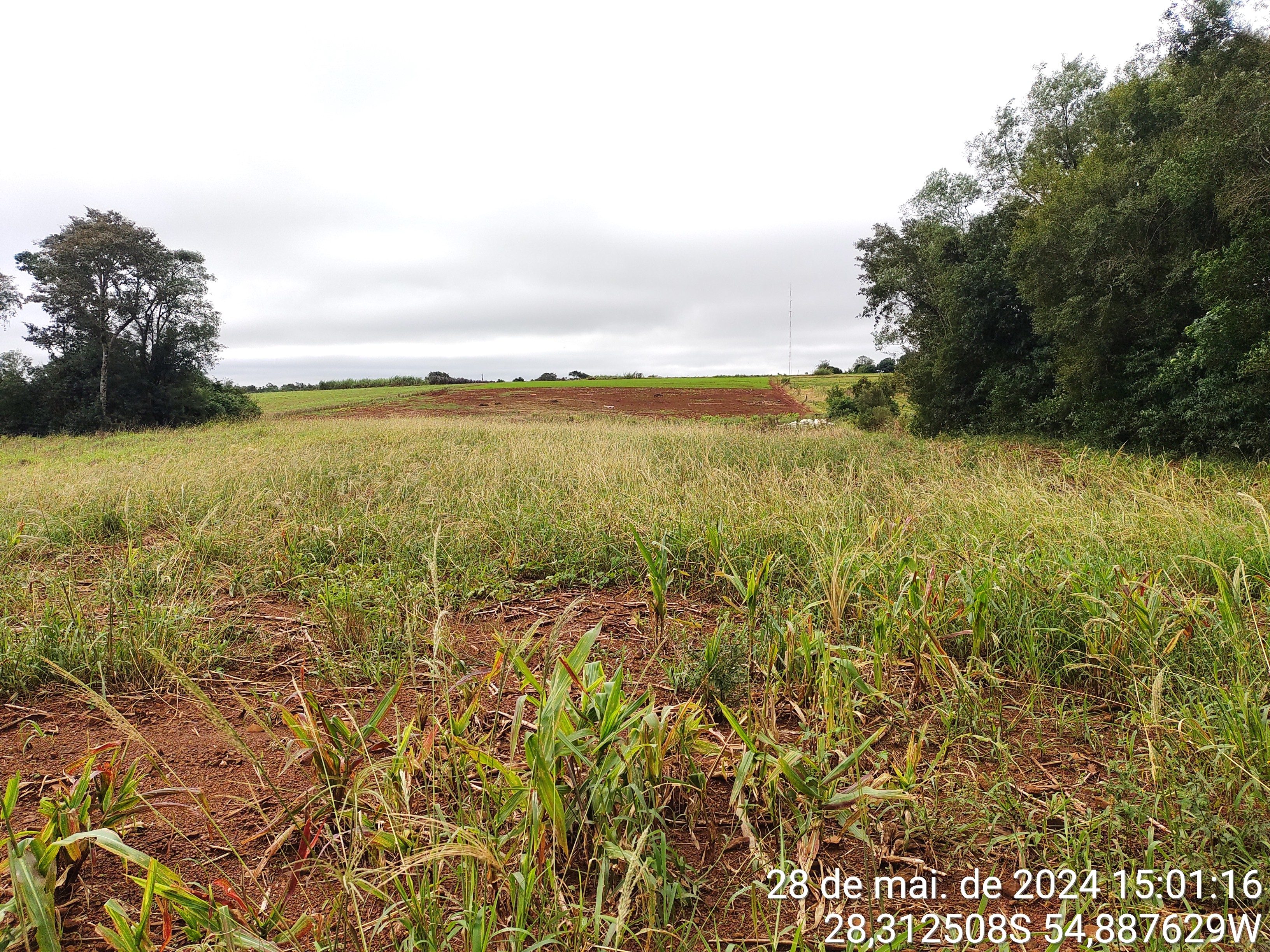 IMÓVEL RURAL, COM ÁREA DE 21.490,00M², SEM BENFEITORIAS, NA CIDADE DE SÃO LUIZ GONZAGA/RS, localizado em São Luiz Gonzaga - RS