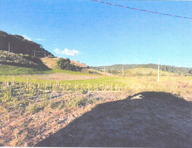 LOTE URBANO "15" COM 870M² / RUA ALFREDO KARIG / PAULO BENTO - RS, localizado em Paulo Bento - RS
