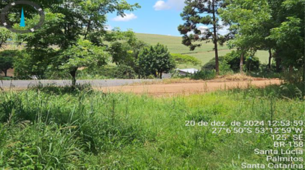 PARTE SUDOESTE DO LOTE RURAL Nº 166 COM 55.210M² + PEQUENA PARTE DO LOTE RURAL Nº 167 COM 30M² - TOTAL DE 55.240M² / SEM BENFEITORIAS / LINHA SANTA LUCIA / INTERIOR DE PALMITOS - SC, localizado em Palmitos - SC
