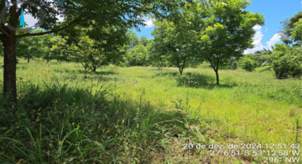 PARTE SUDOESTE DO LOTE RURAL Nº 166 COM 55.210M² + PEQUENA PARTE DO LOTE RURAL Nº 167 COM 30M² - TOTAL DE 55.240M² / SEM BENFEITORIAS / LINHA SANTA LUCIA / INTERIOR DE PALMITOS - SC, localizado em Palmitos - SC