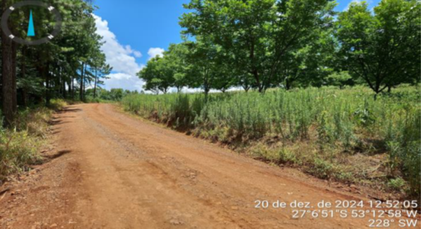PARTE SUDOESTE DO LOTE RURAL Nº 166 COM 55.210M² + PEQUENA PARTE DO LOTE RURAL Nº 167 COM 30M² - TOTAL DE 55.240M² / SEM BENFEITORIAS / LINHA SANTA LUCIA / INTERIOR DE PALMITOS - SC, localizado em Palmitos - SC