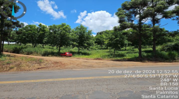 PARTE SUDOESTE DO LOTE RURAL Nº 166 COM 55.210M² + PEQUENA PARTE DO LOTE RURAL Nº 167 COM 30M² - TOTAL DE 55.240M² / SEM BENFEITORIAS / LINHA SANTA LUCIA / INTERIOR DE PALMITOS - SC, localizado em Palmitos - SC