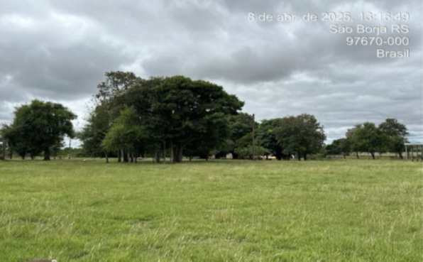 FRAÇÃO DE TERRAS DE 2 HA DENTRO DE MAIOR ÁREA / COM BENFEITORIAS / RINCÃO DOS MELOS / SÃO BORJA - RS, localizado em São Borja - RS